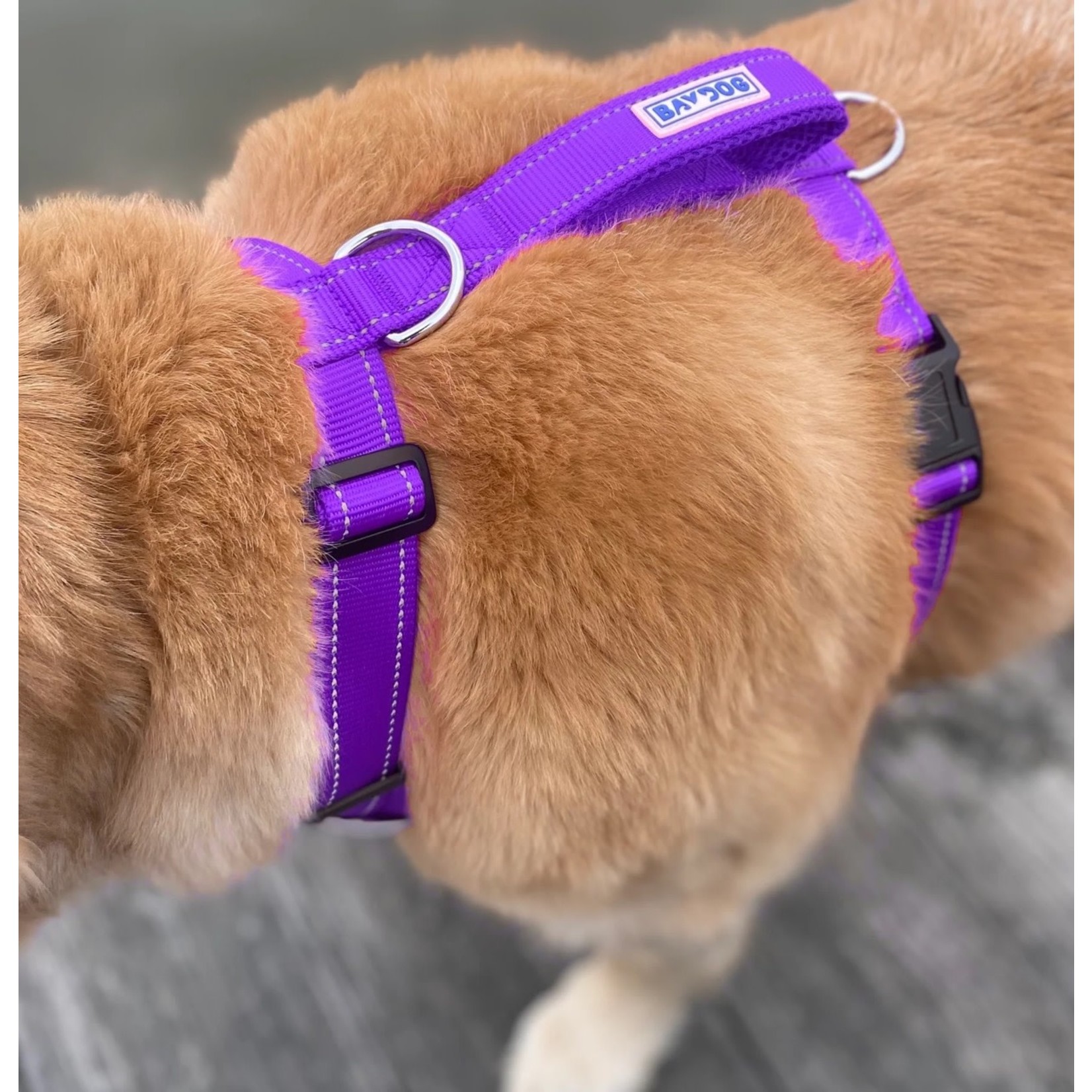 Bay store dog harness