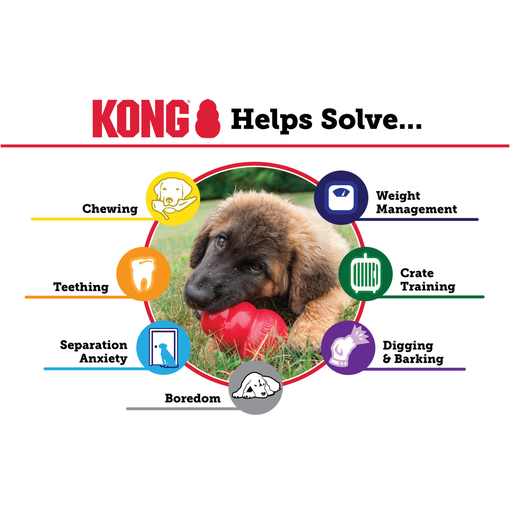Kong Kong Dog Classic Red