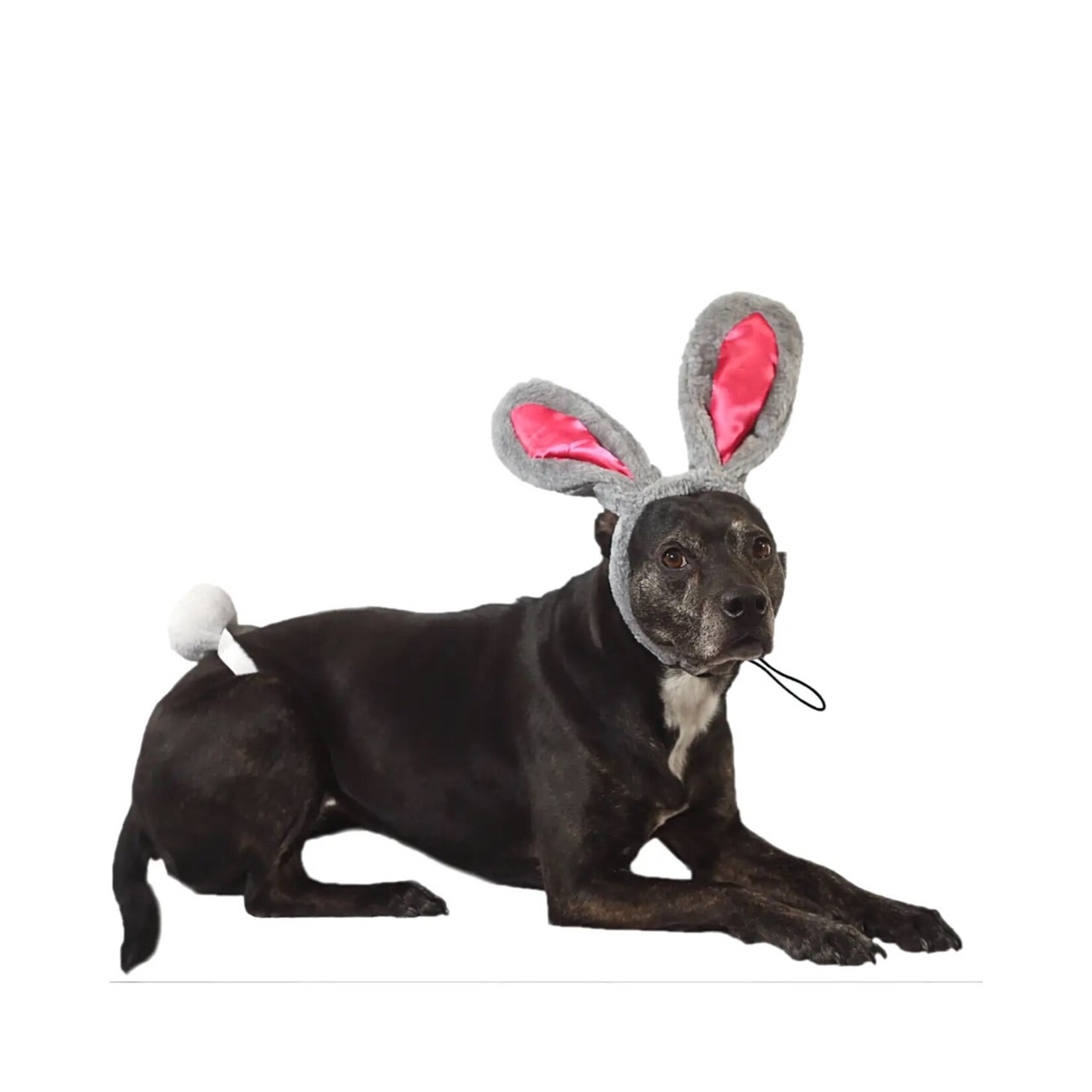 Easter Midlee Headband Bunny Ears w/Tail Set