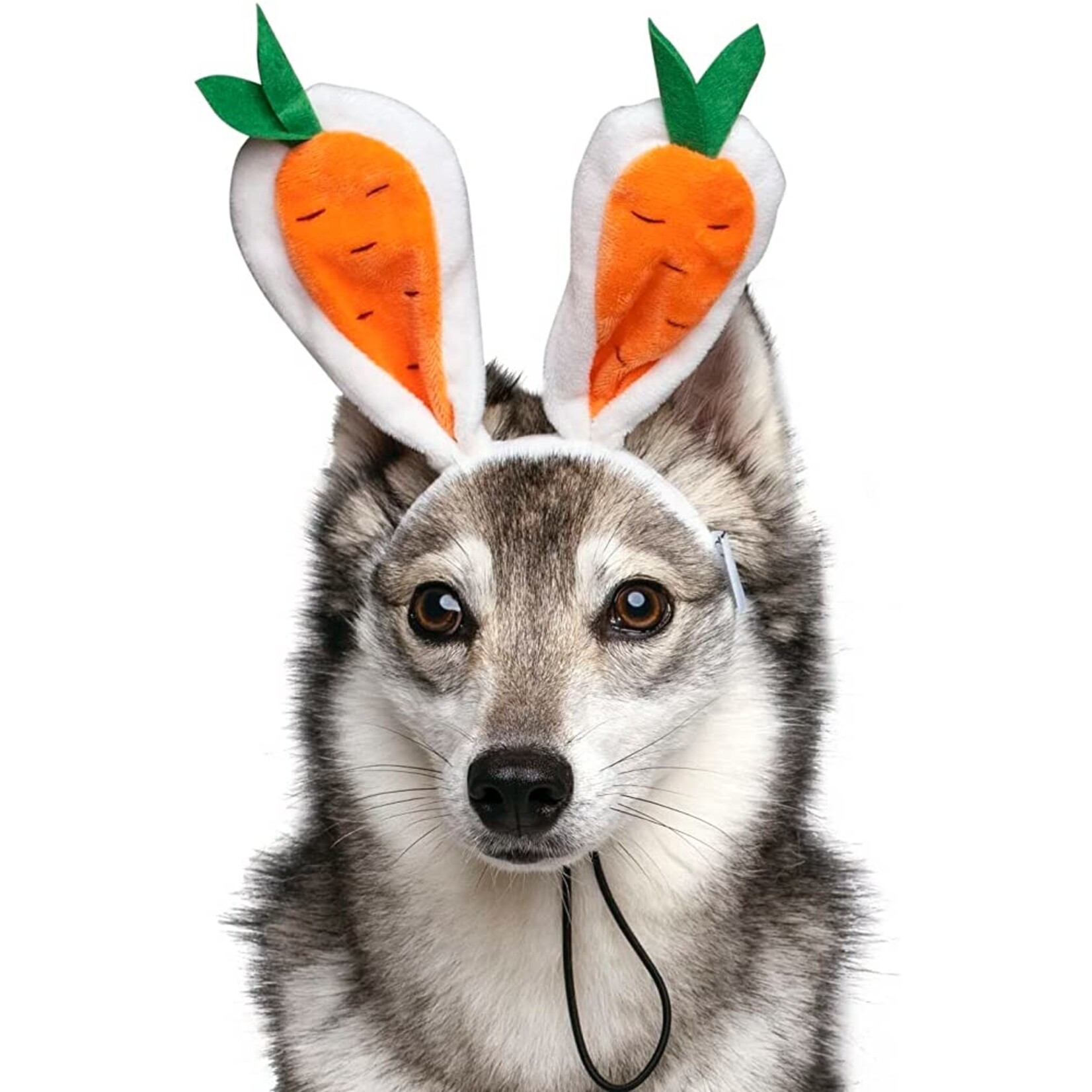 Easter Midlee Headband Carrot Bunny Ears S