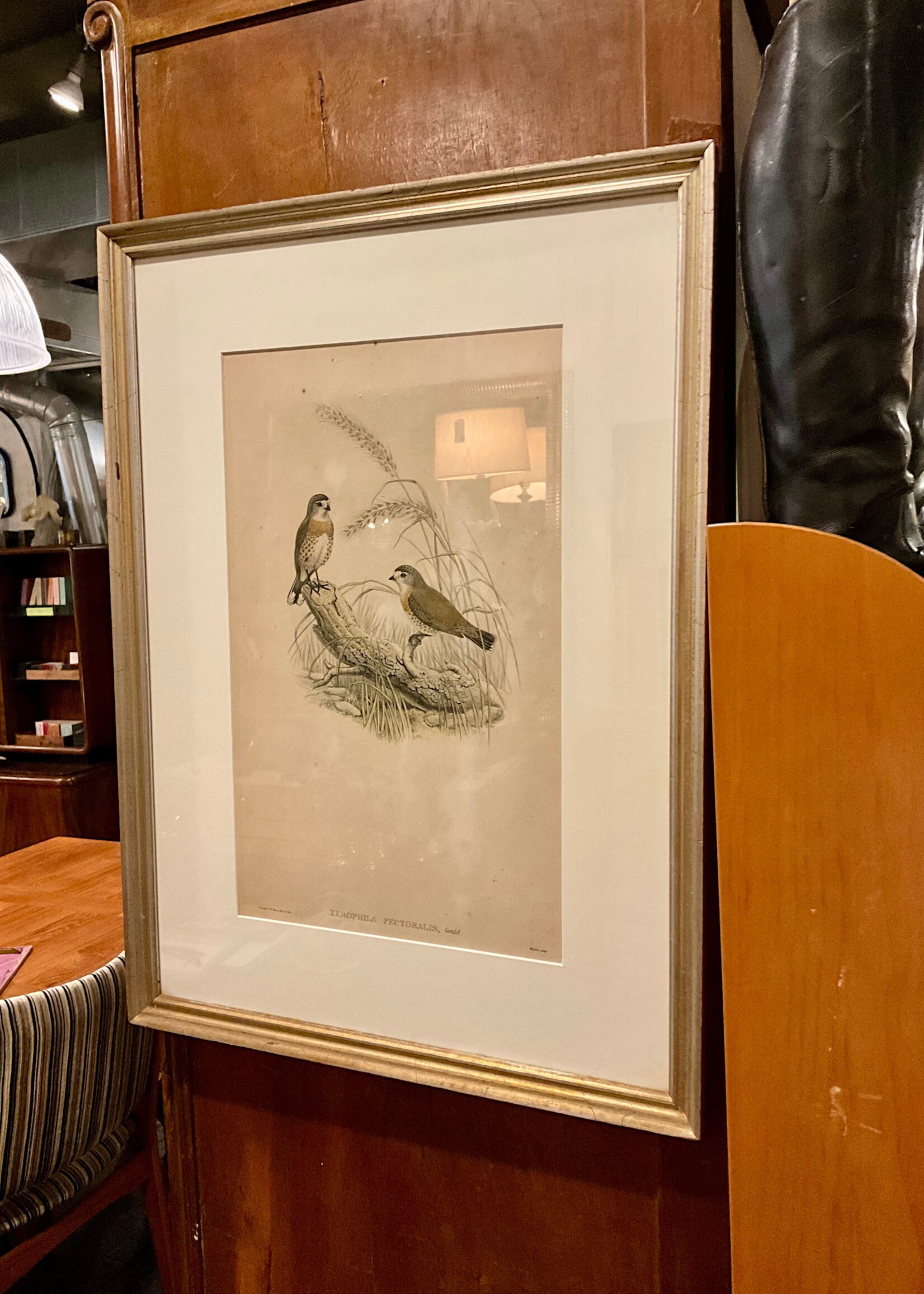 GOODWOOD Antique Bird Print