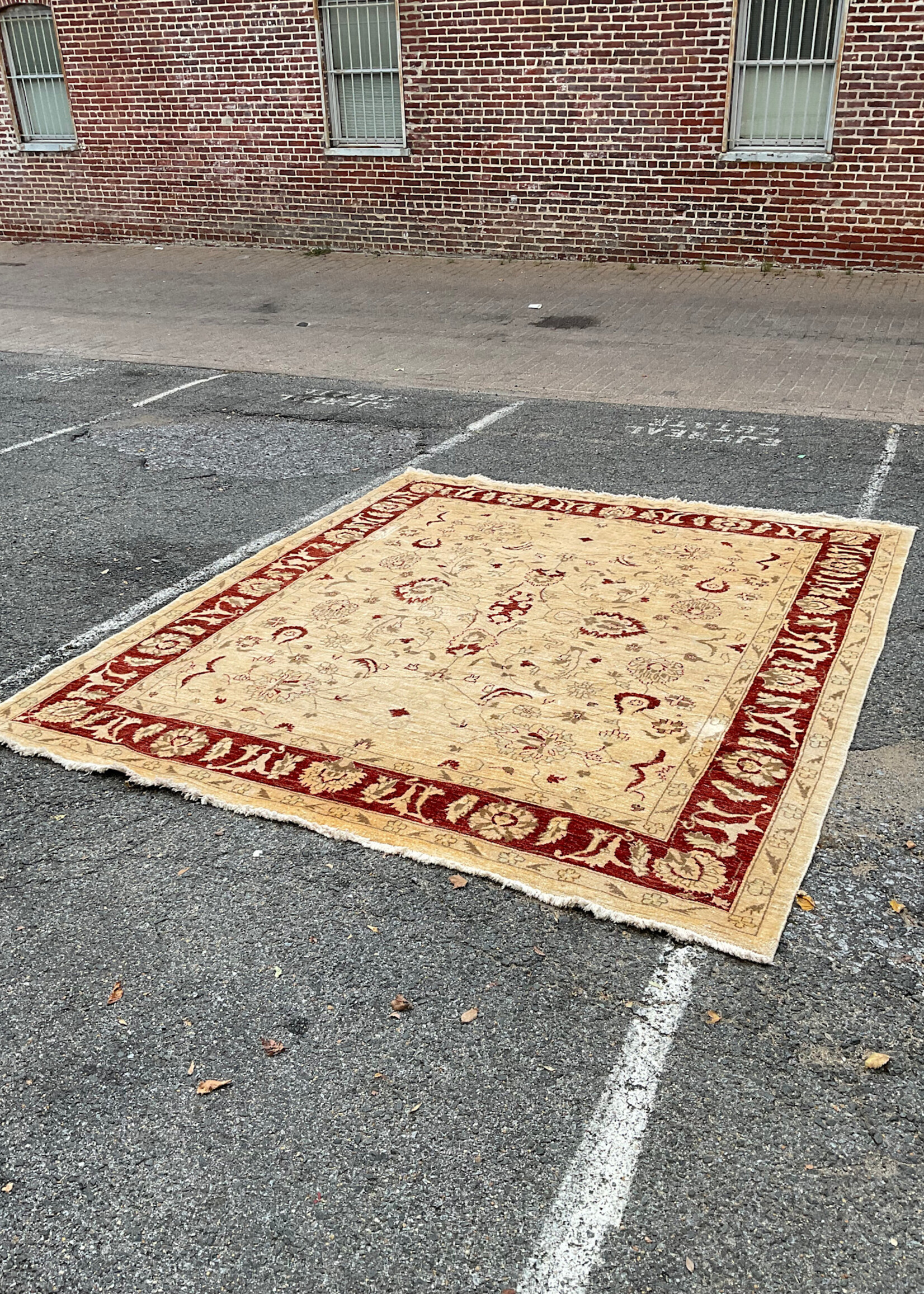 GOODWOOD Oriental Rug 9'7" x 8'4"
