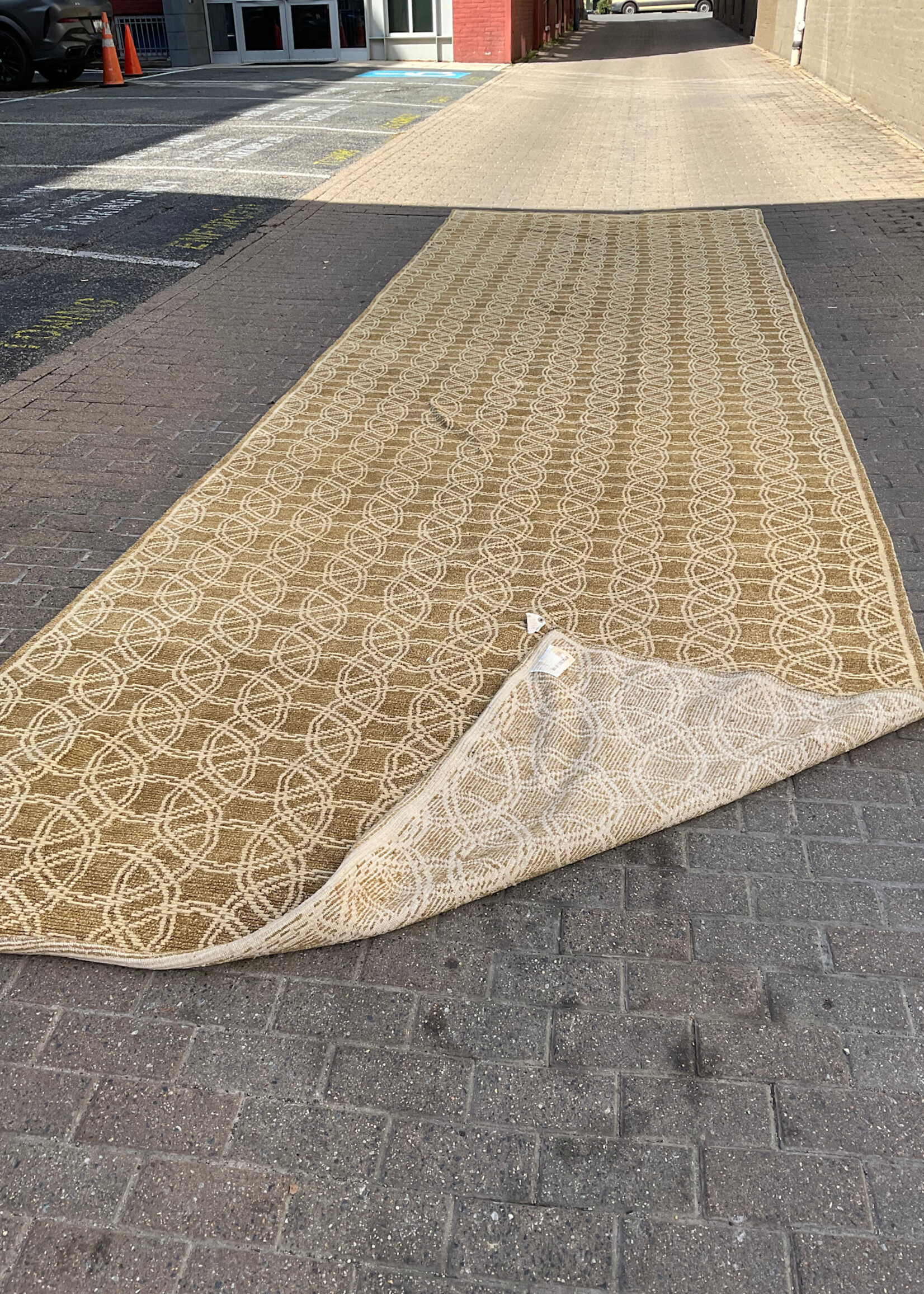 GOODWOOD Modern Oriental Rug  252" x 80" approximately