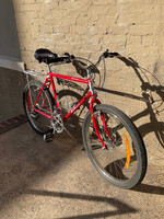 GOODWOOD Vintage Mountain Bike