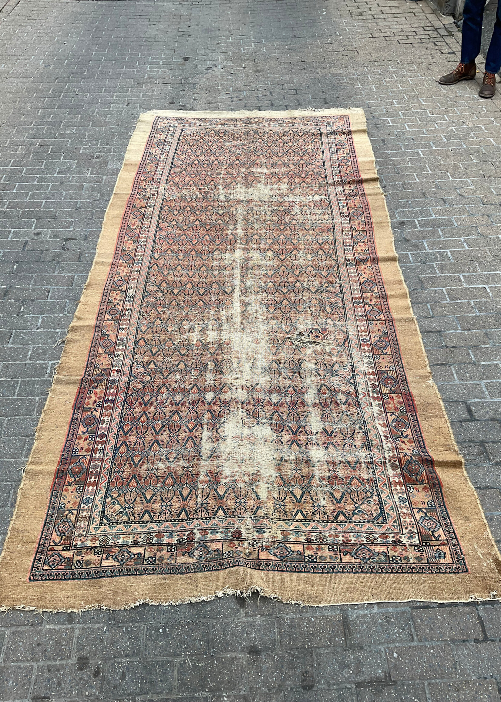 GOODWOOD Persian Rug 142" X 62"