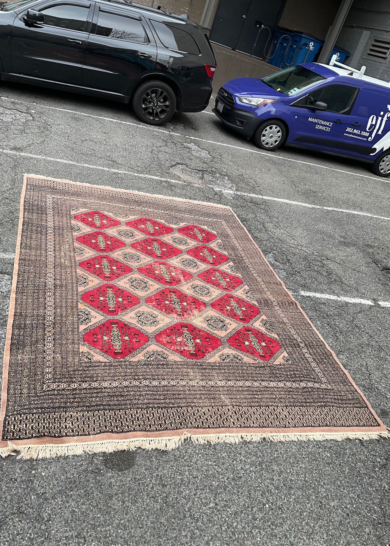 GOODWOOD Bukhara Rug 134" X 97"