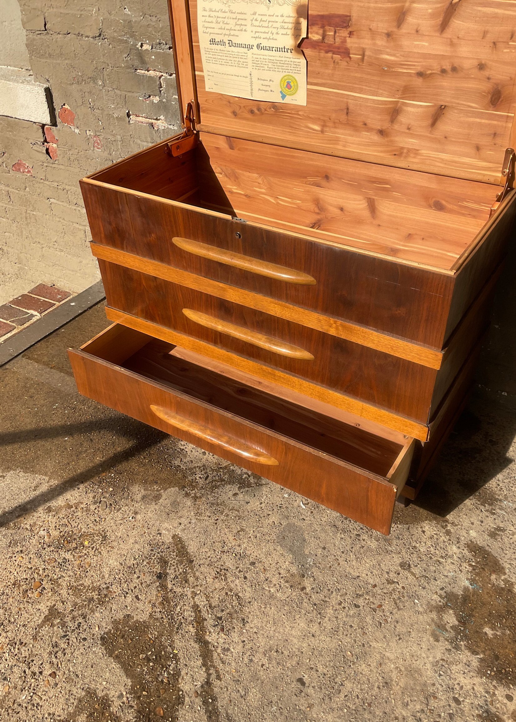 GOODWOOD MCM Cedar Chest with Drawer