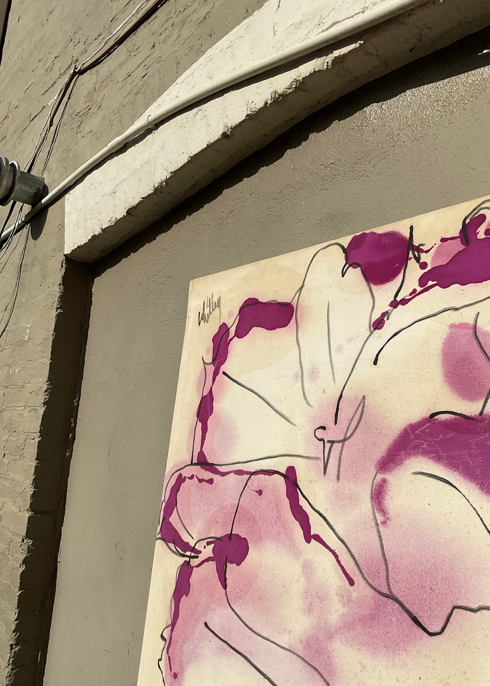 GOODWOOD Flower 4, Whitley