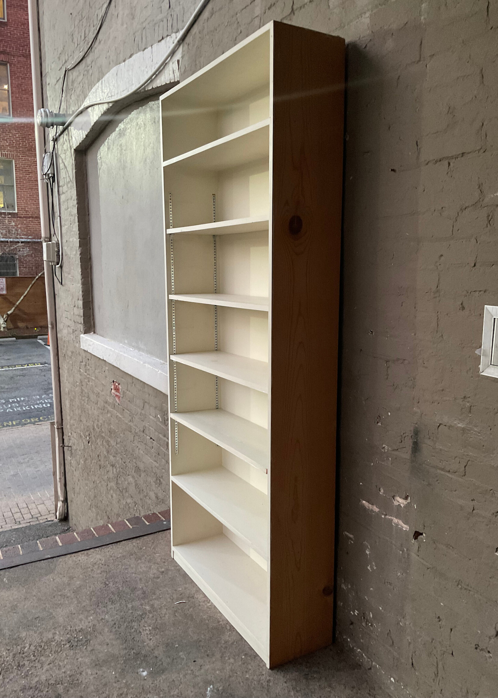 GOODWOOD Tall Adjustable Painted Bookcase