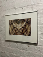 GOODWOOD Photograph, Swirl Bark