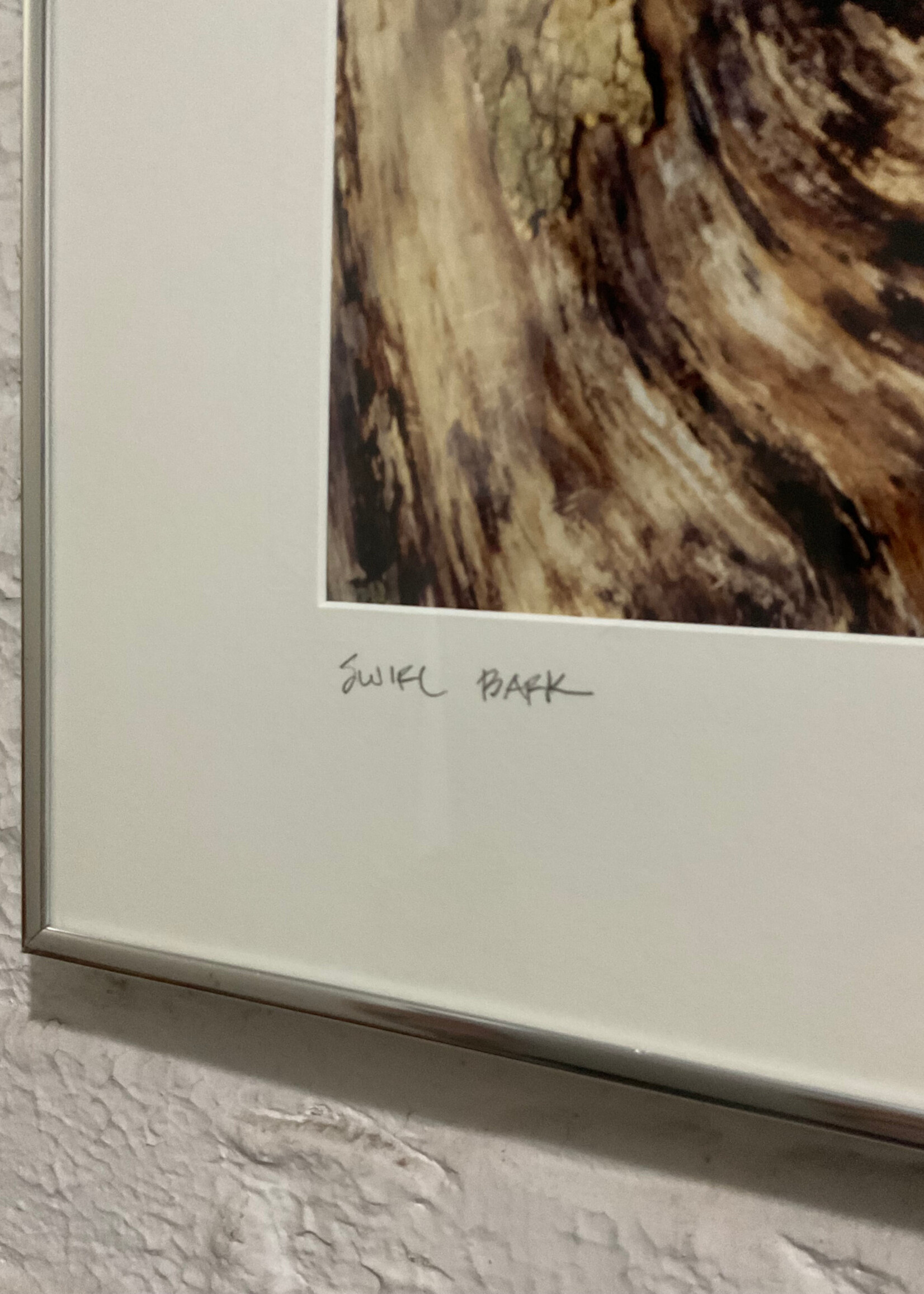 GOODWOOD Photograph, Swirl Bark