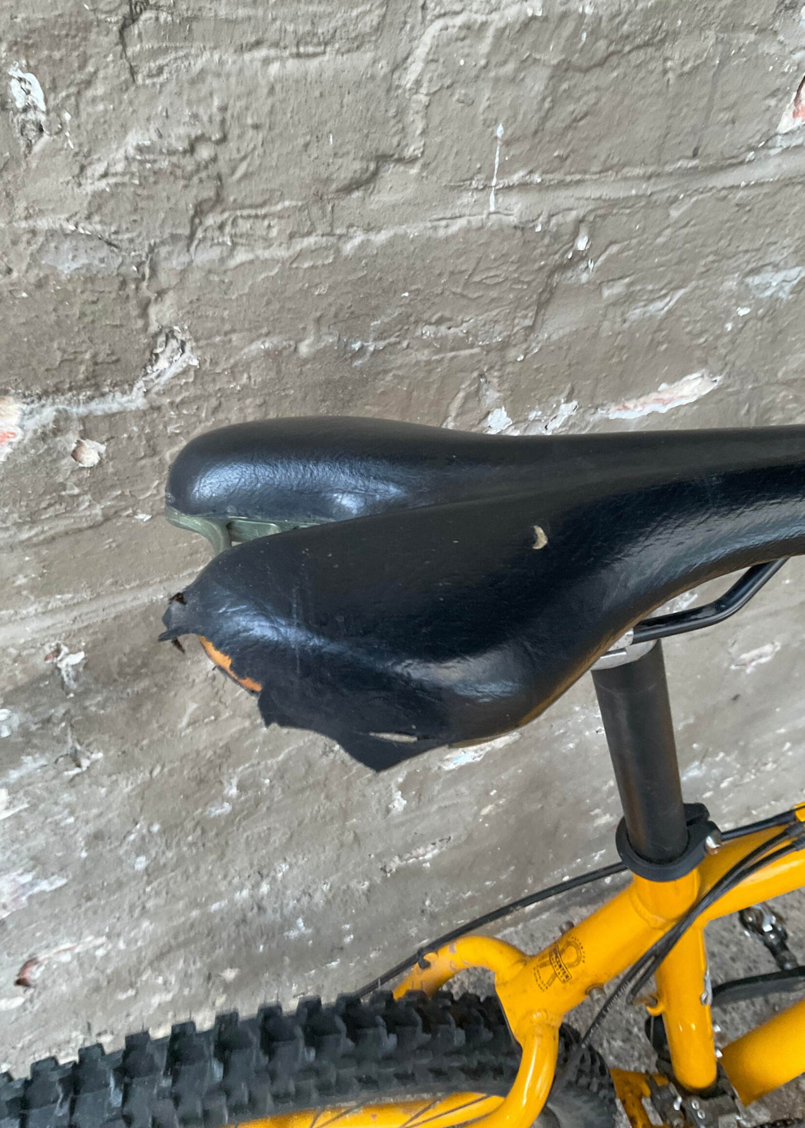 GOODWOOD Vintage Schwinn Moab Bike