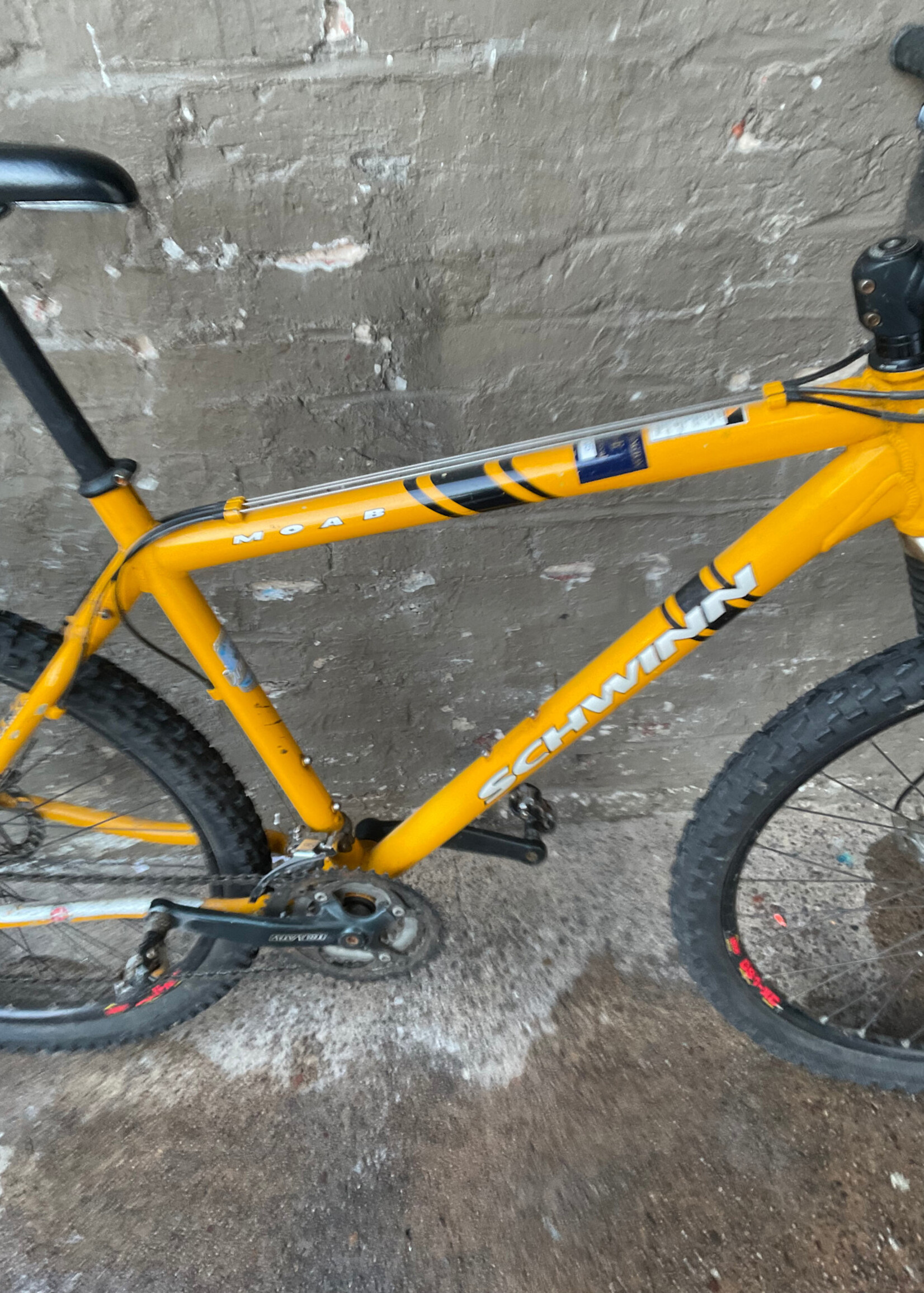 GOODWOOD Vintage Schwinn Moab Bike