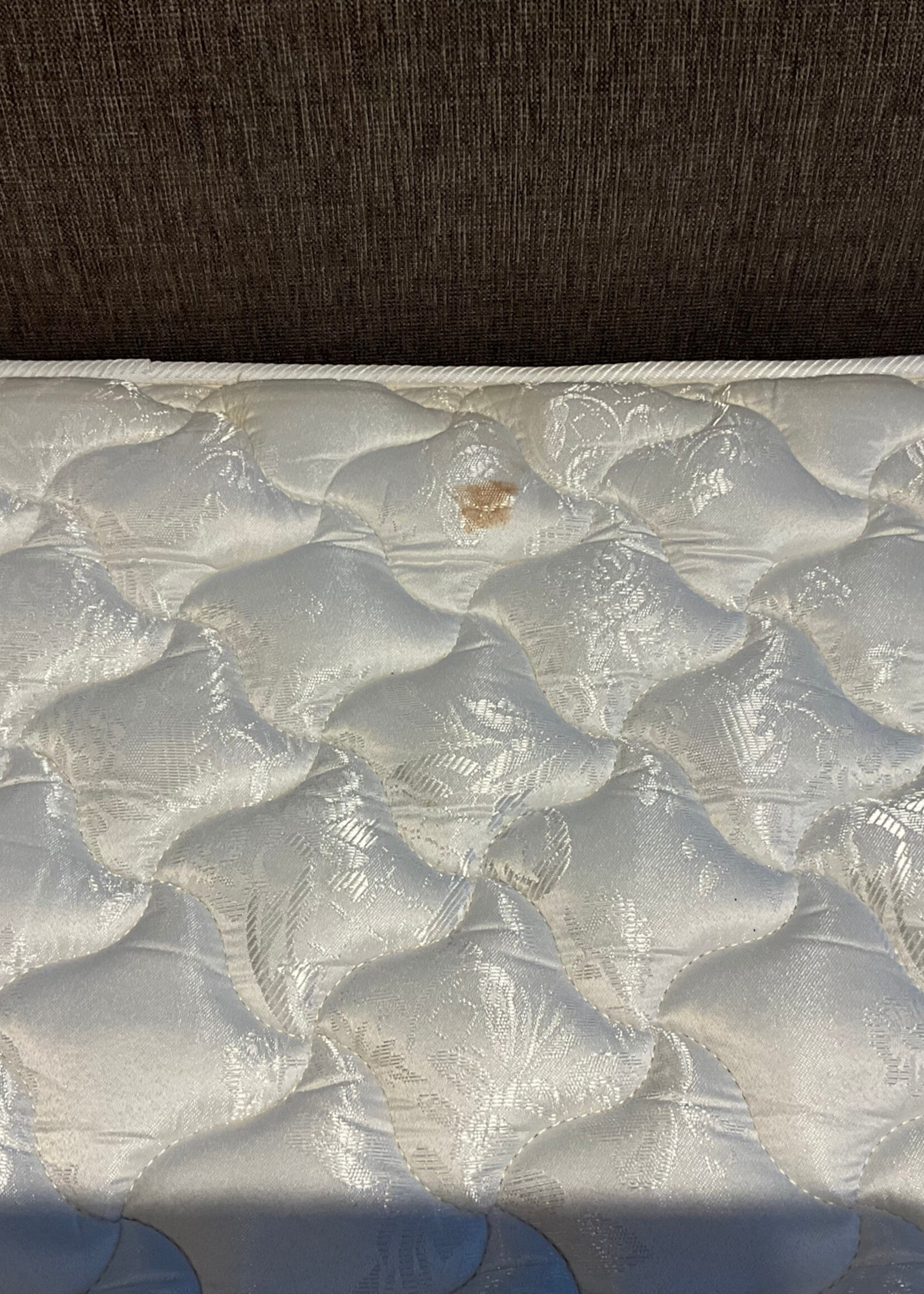 GOODWOOD Sleeper Sofa