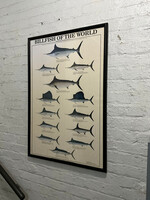 GOODWOOD Billfish of the World Poster