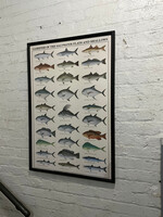 GOODWOOD Gamefish Poster