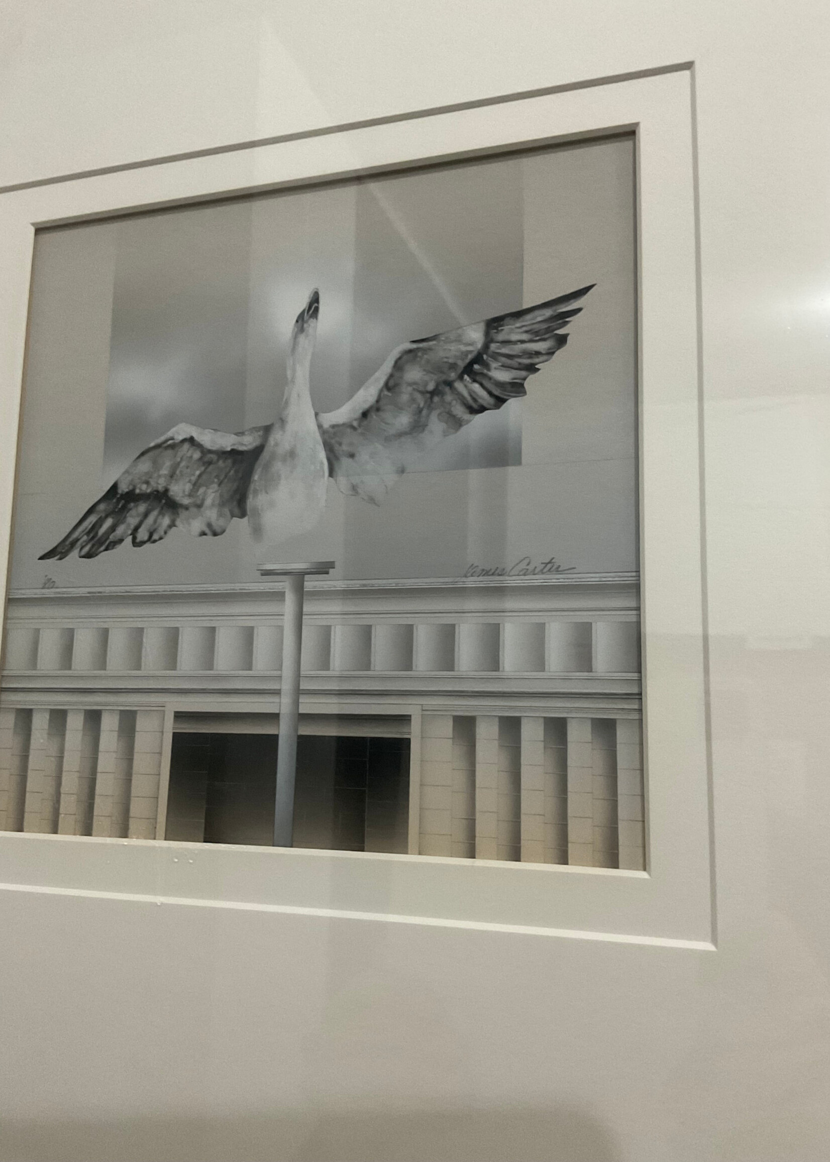 GOODWOOD Bird Print, James Carter, 1980