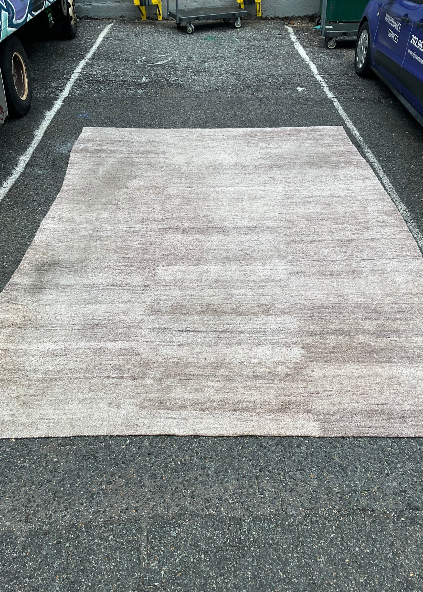 GOODWOOD Wool Rug 11'6" x 8'5"
