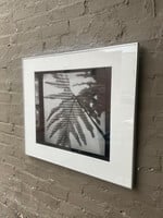 GOODWOOD Photograph, Shirley True