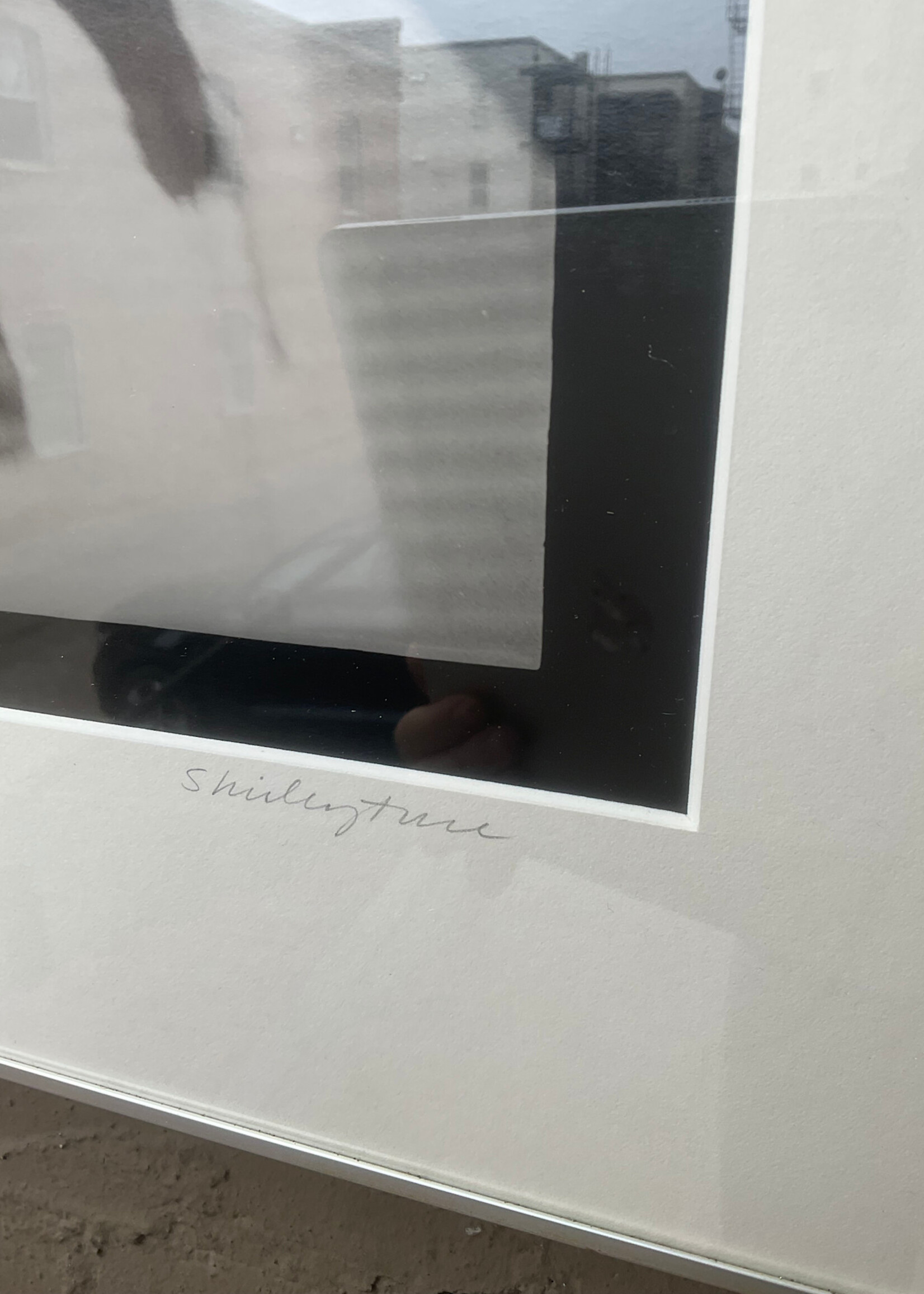 GOODWOOD Photograph, Shirley True