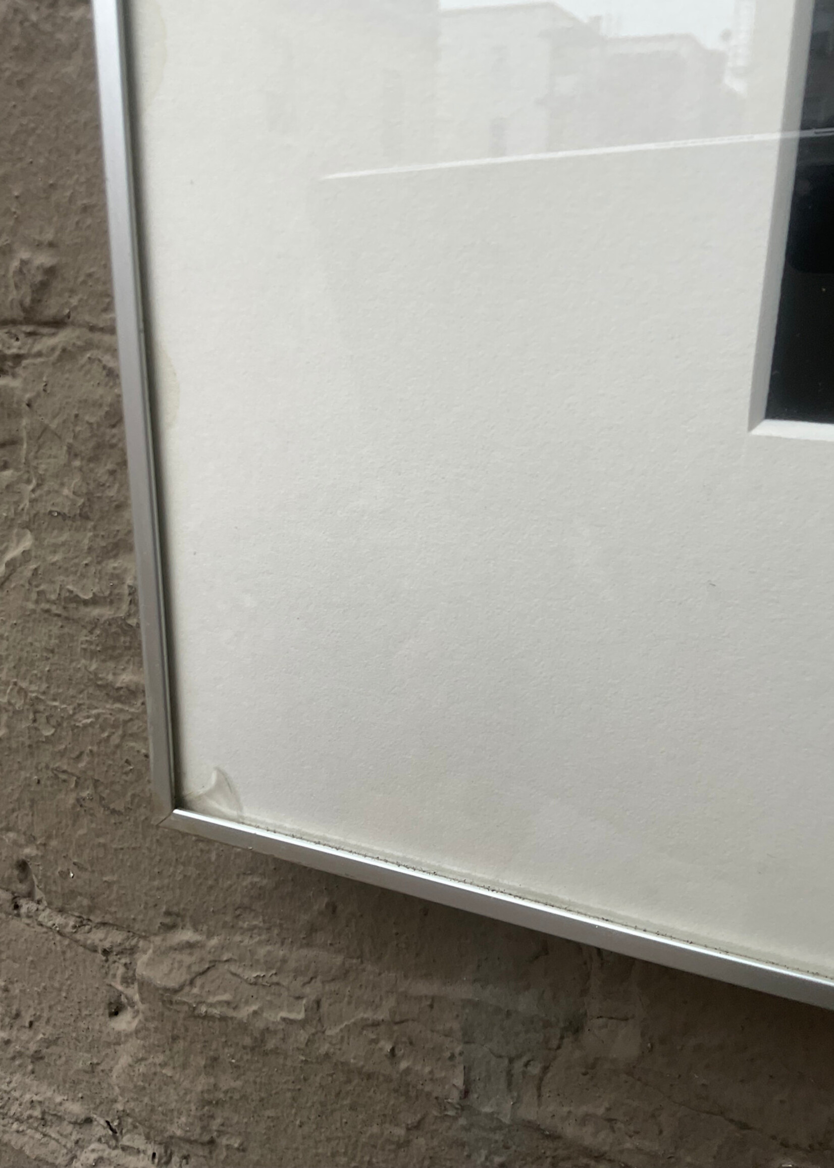 GOODWOOD Photograph, Shirley True