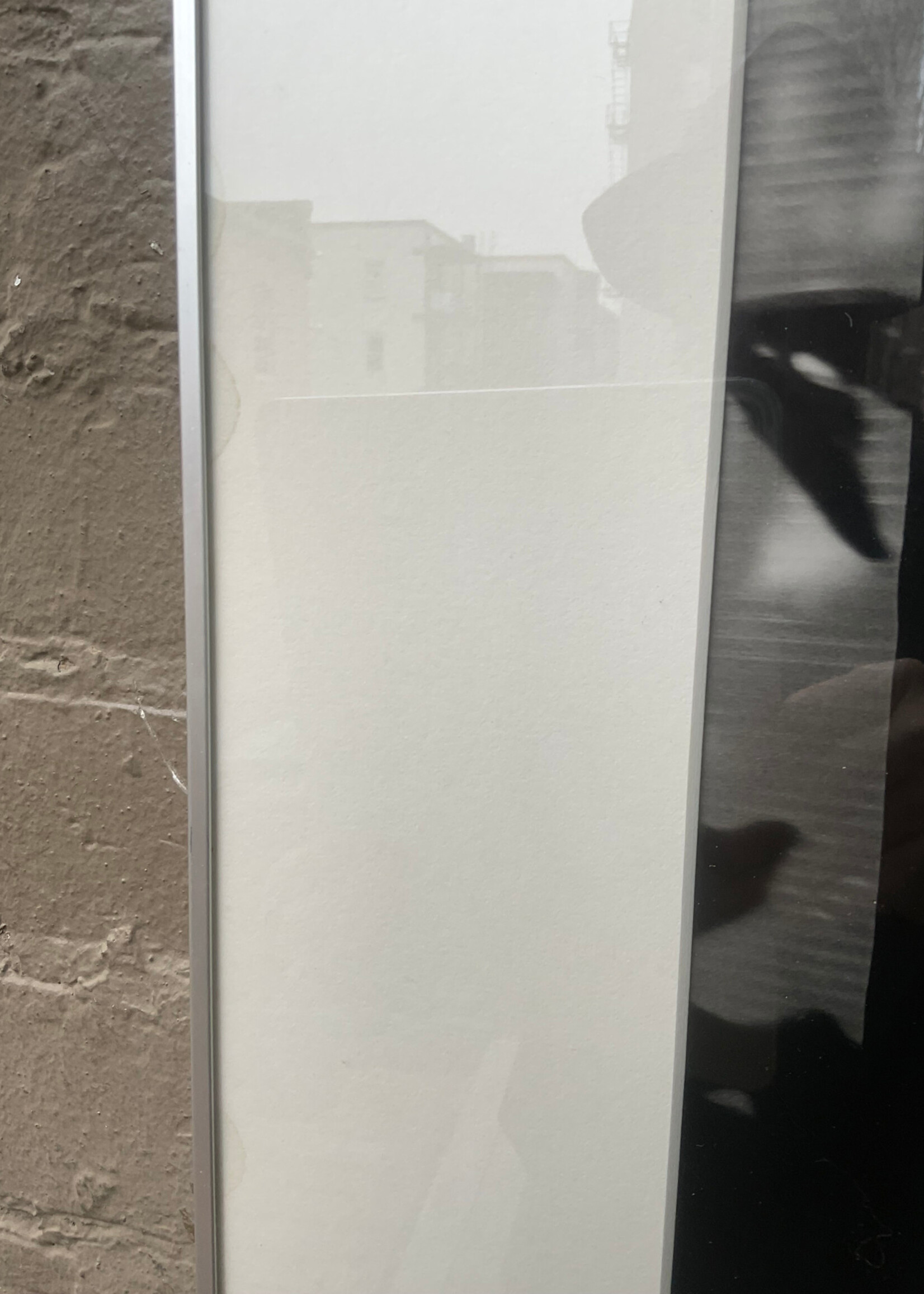 GOODWOOD Photograph, Shirley True