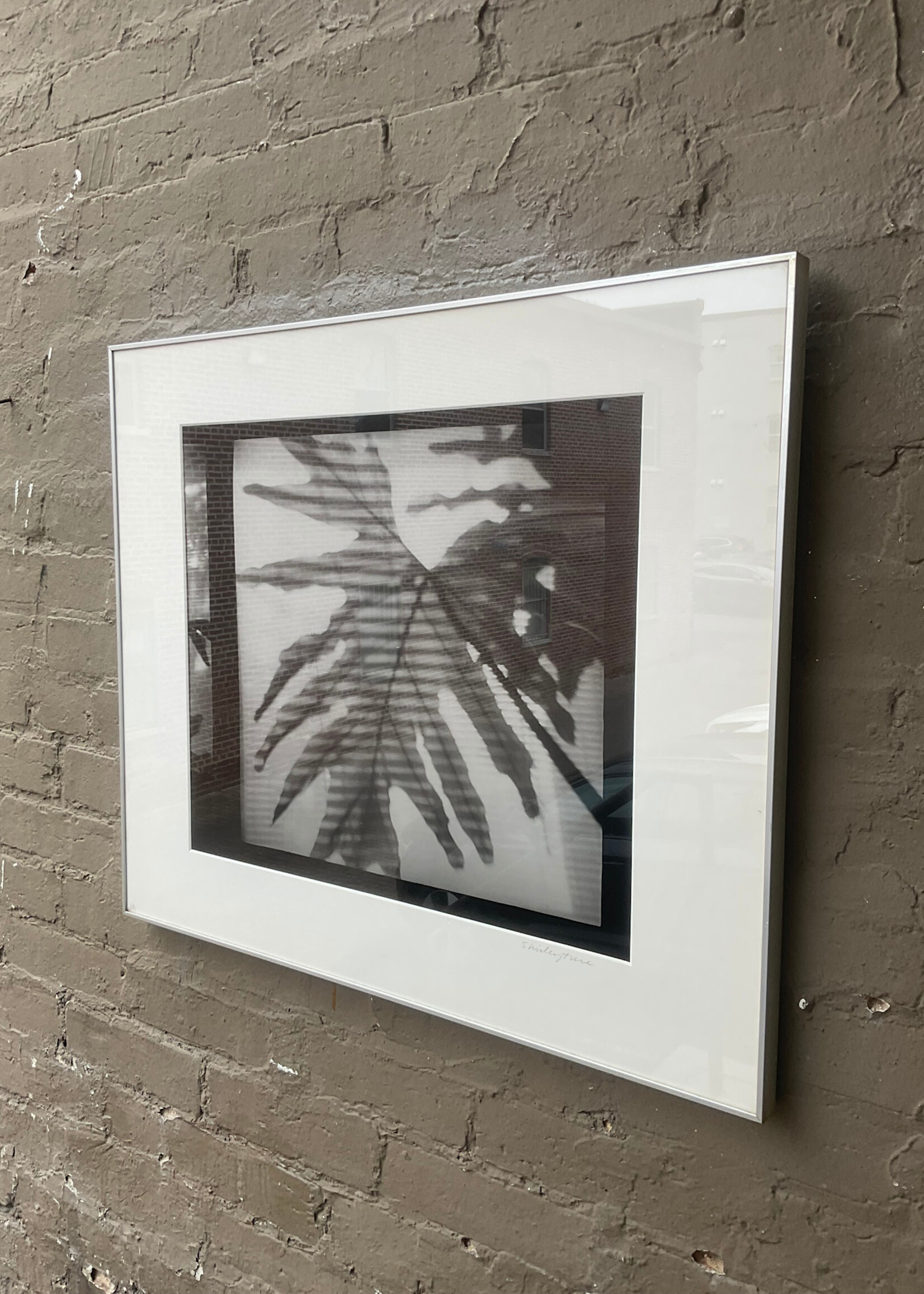 GOODWOOD Photograph, Shirley True