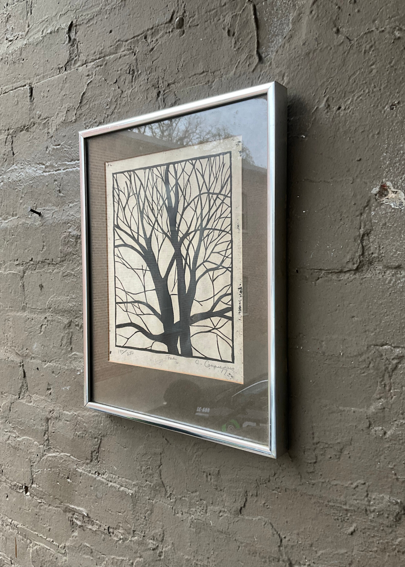 GOODWOOD Tree, Cannizzaro