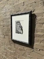 GOODWOOD Barred Owl Print, David Utterback