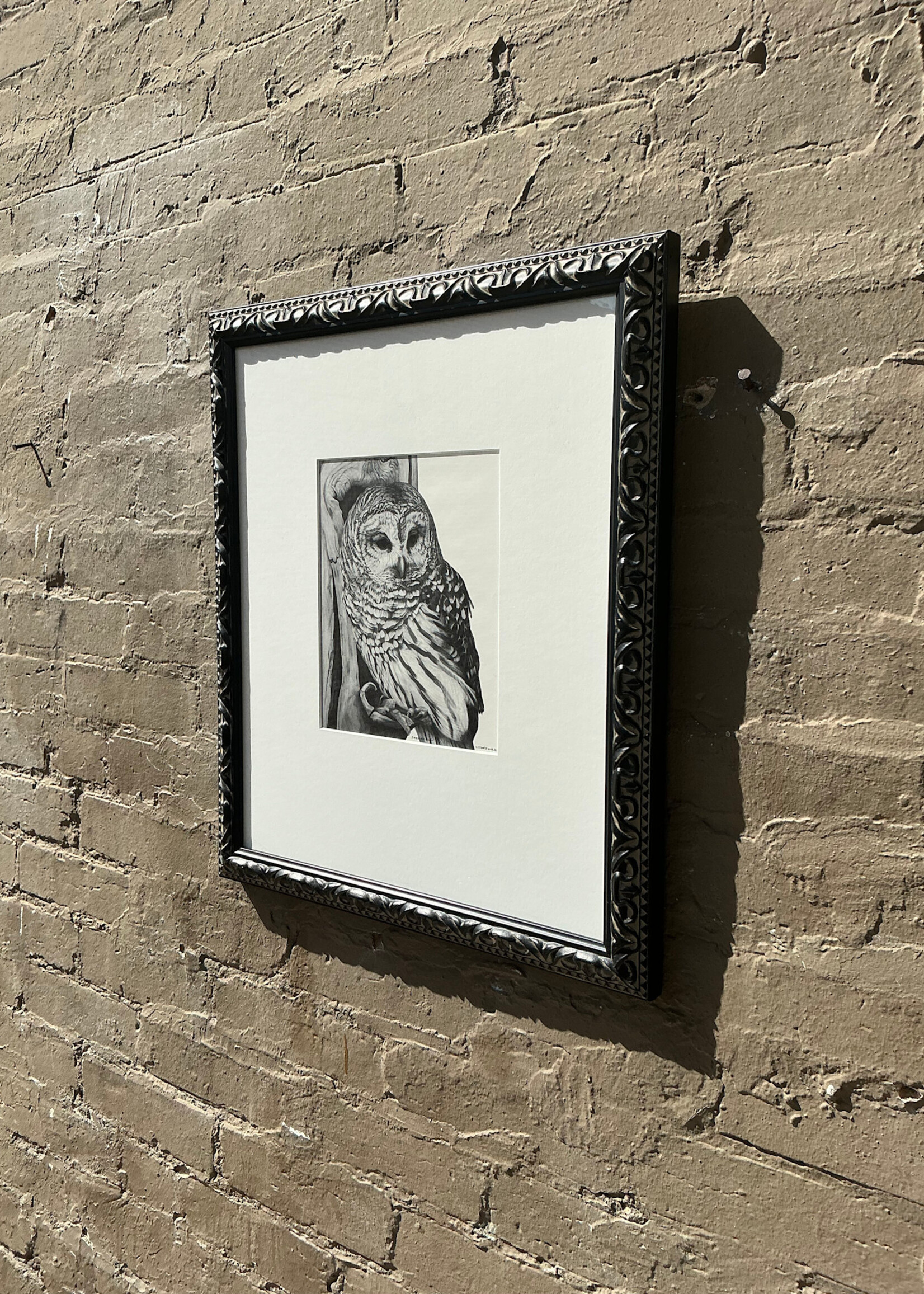 GOODWOOD Barred Owl Print, David Utterback