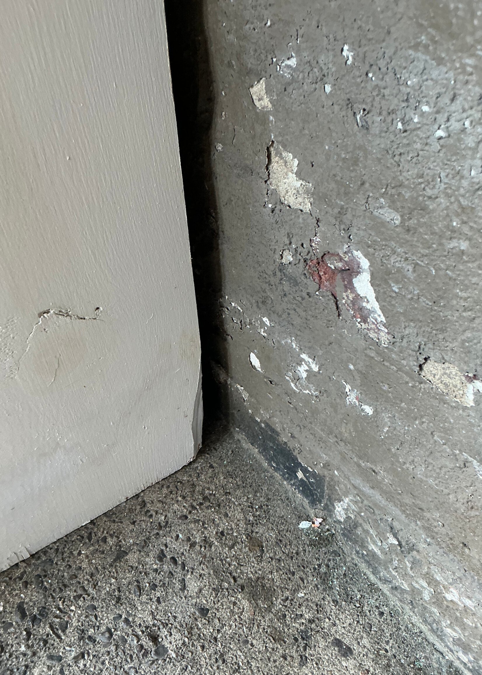 GOODWOOD Vintage White Painted Bookshelf