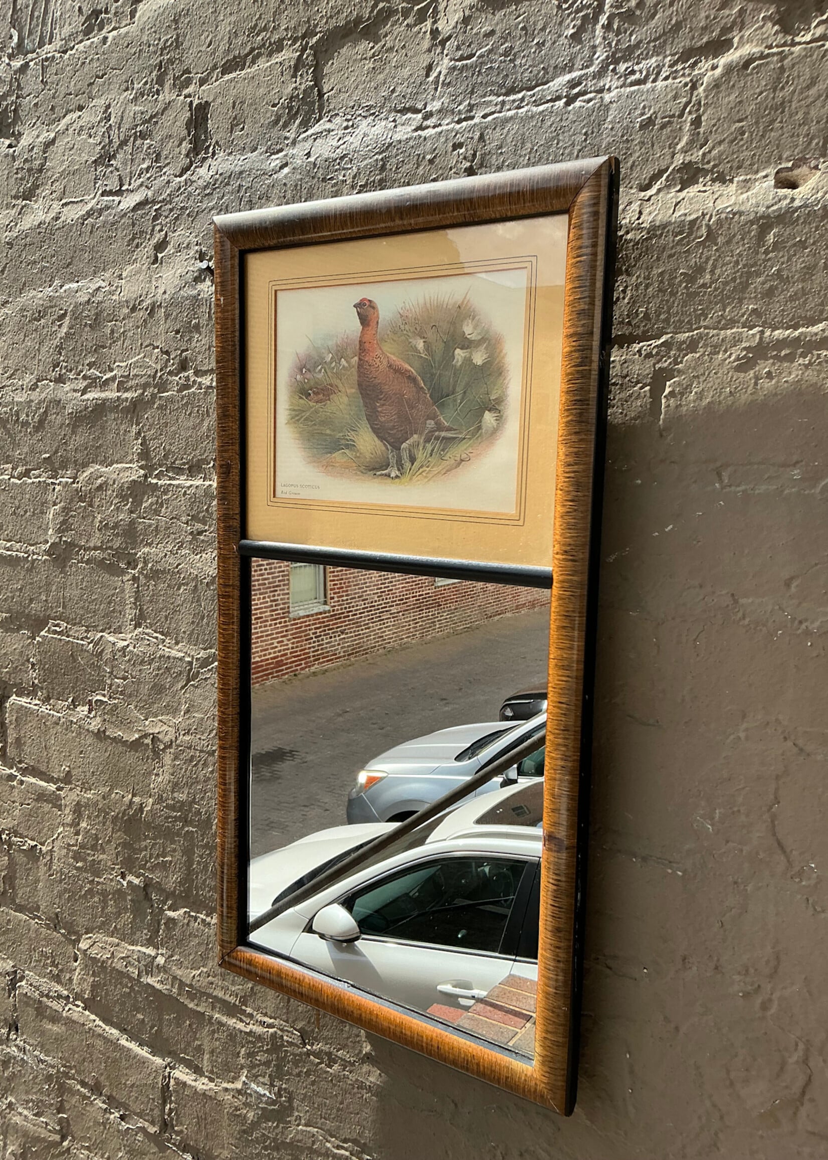 GOODWOOD Bird Trumeau