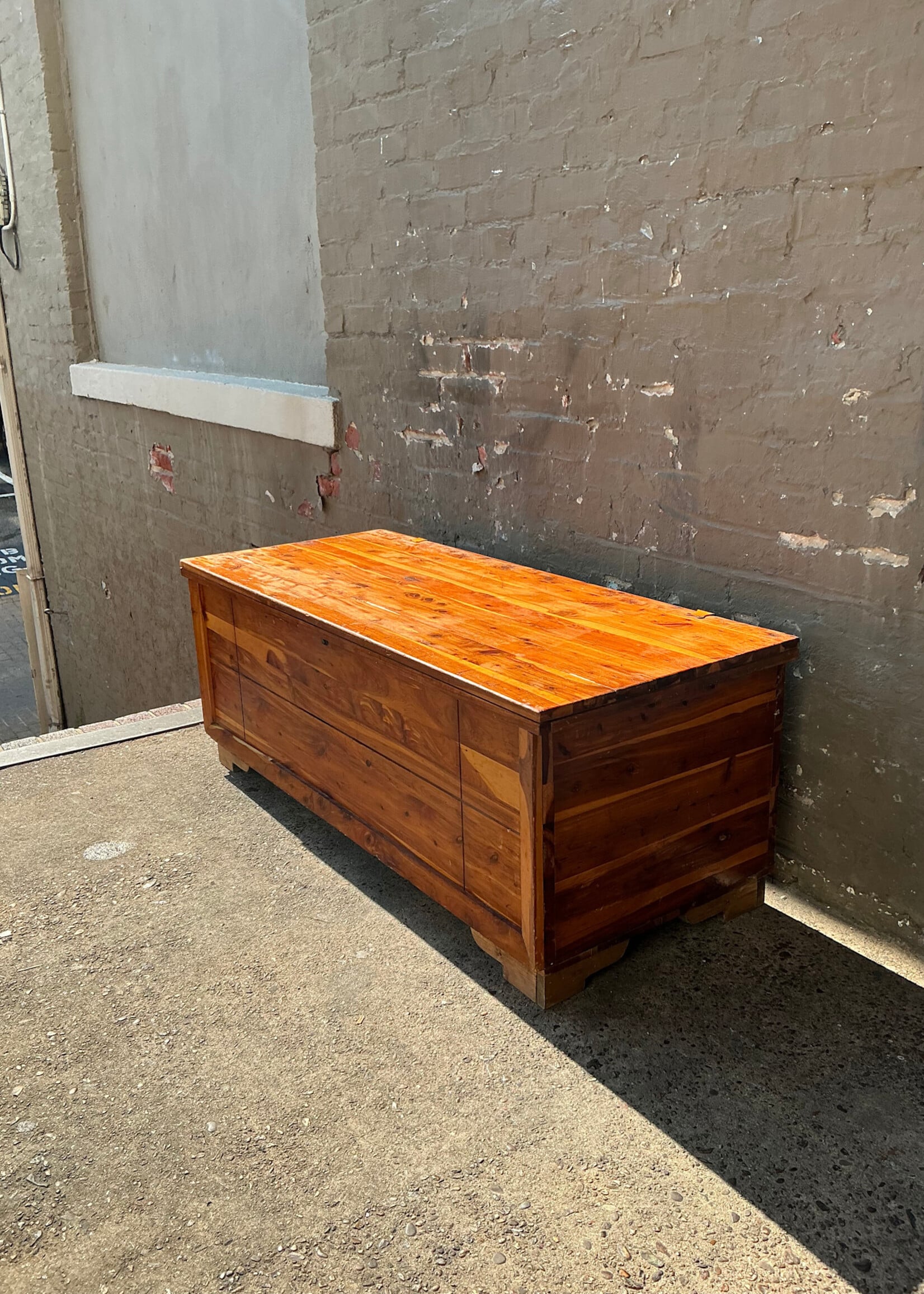 GOODWOOD Cedar Trunk