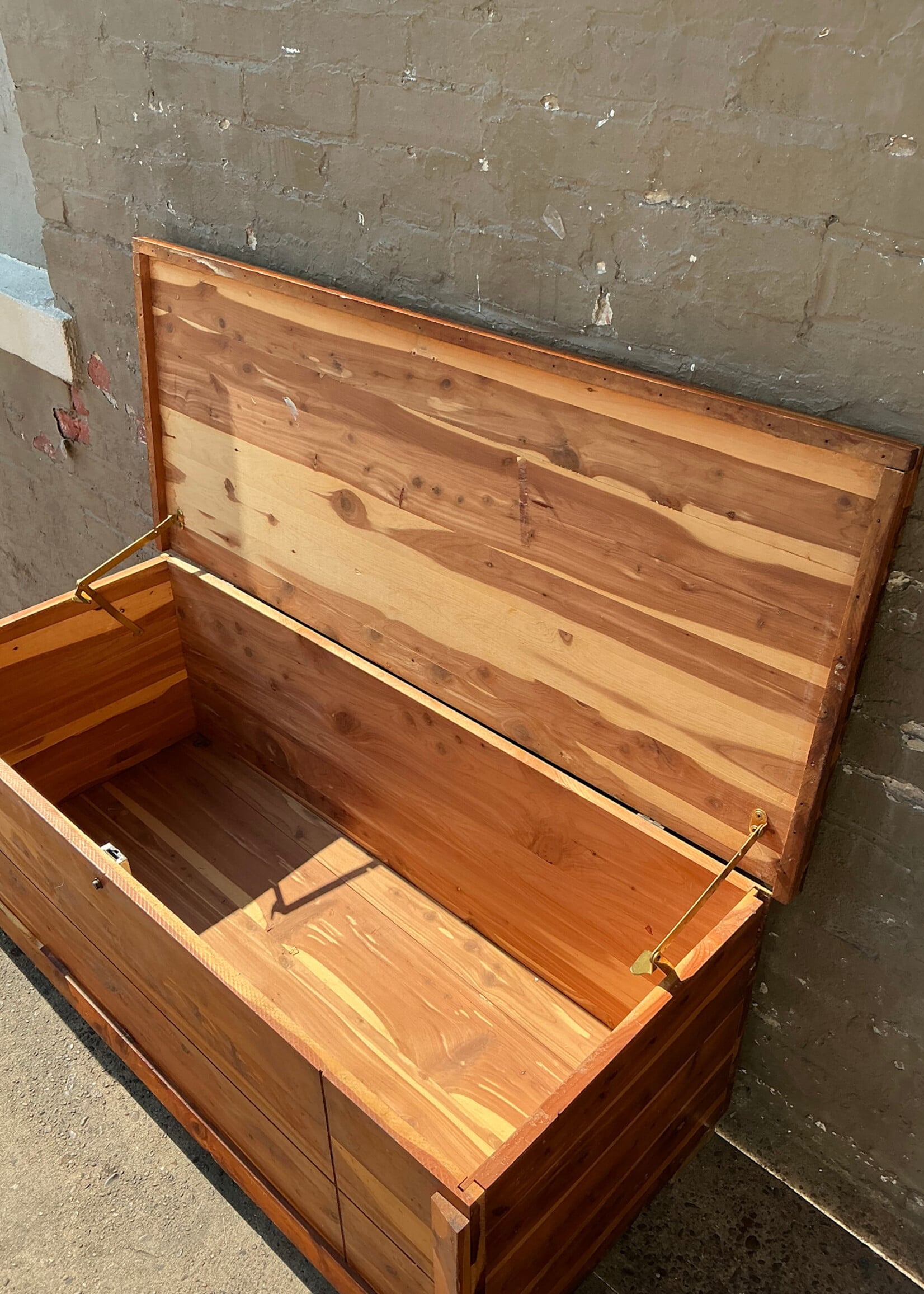 GOODWOOD Cedar Trunk