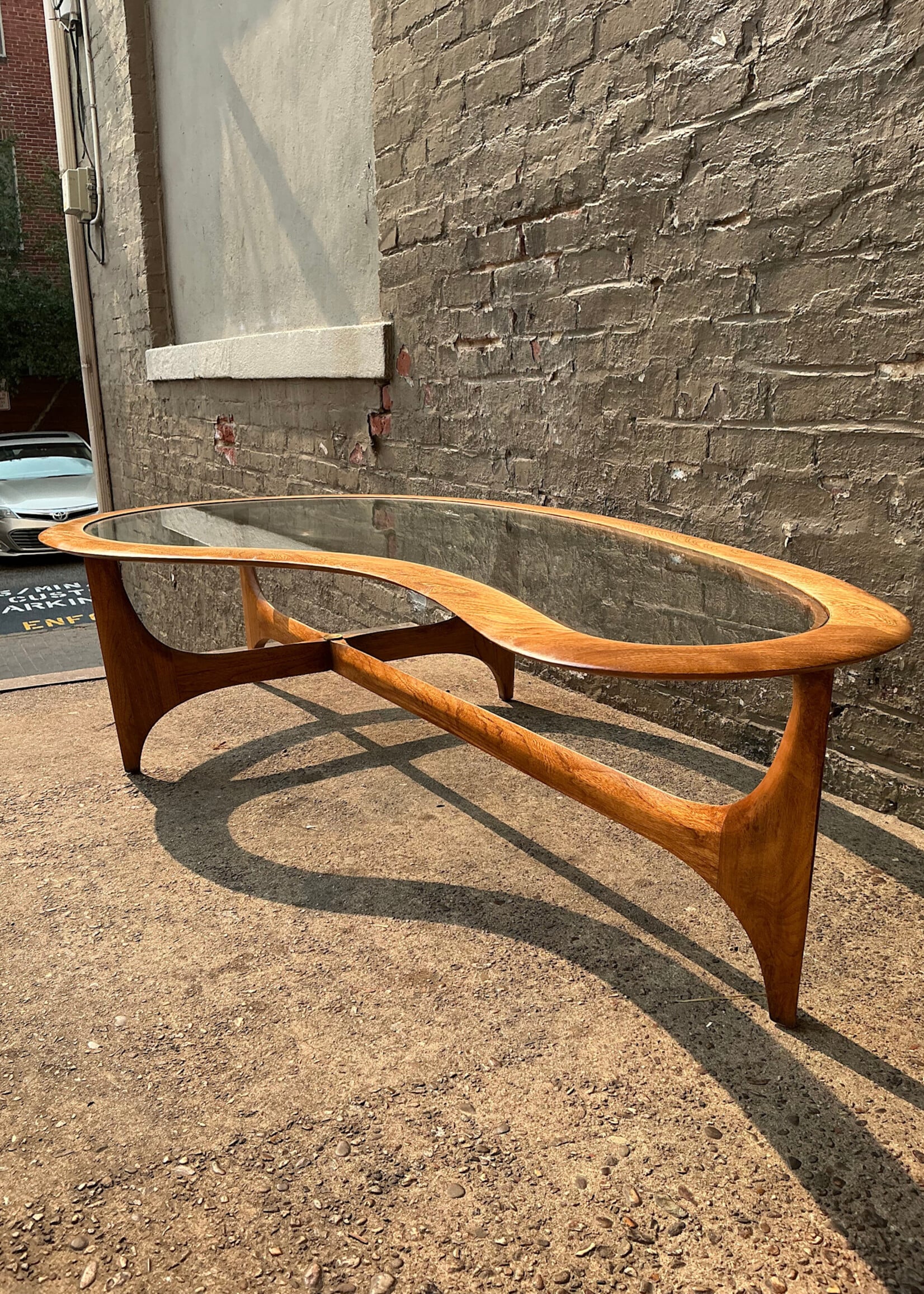 GOODWOOD Lane Amoeba Coffee Table