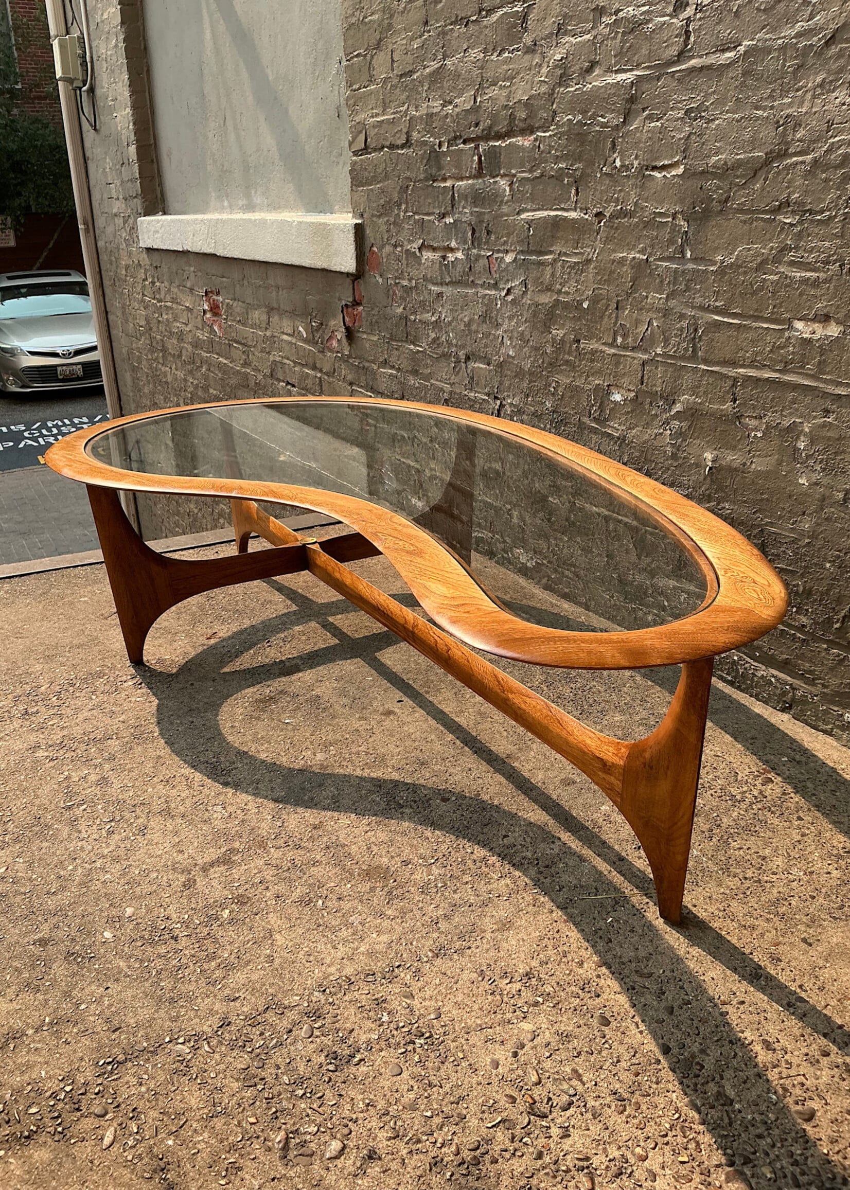 GOODWOOD Lane Amoeba Coffee Table