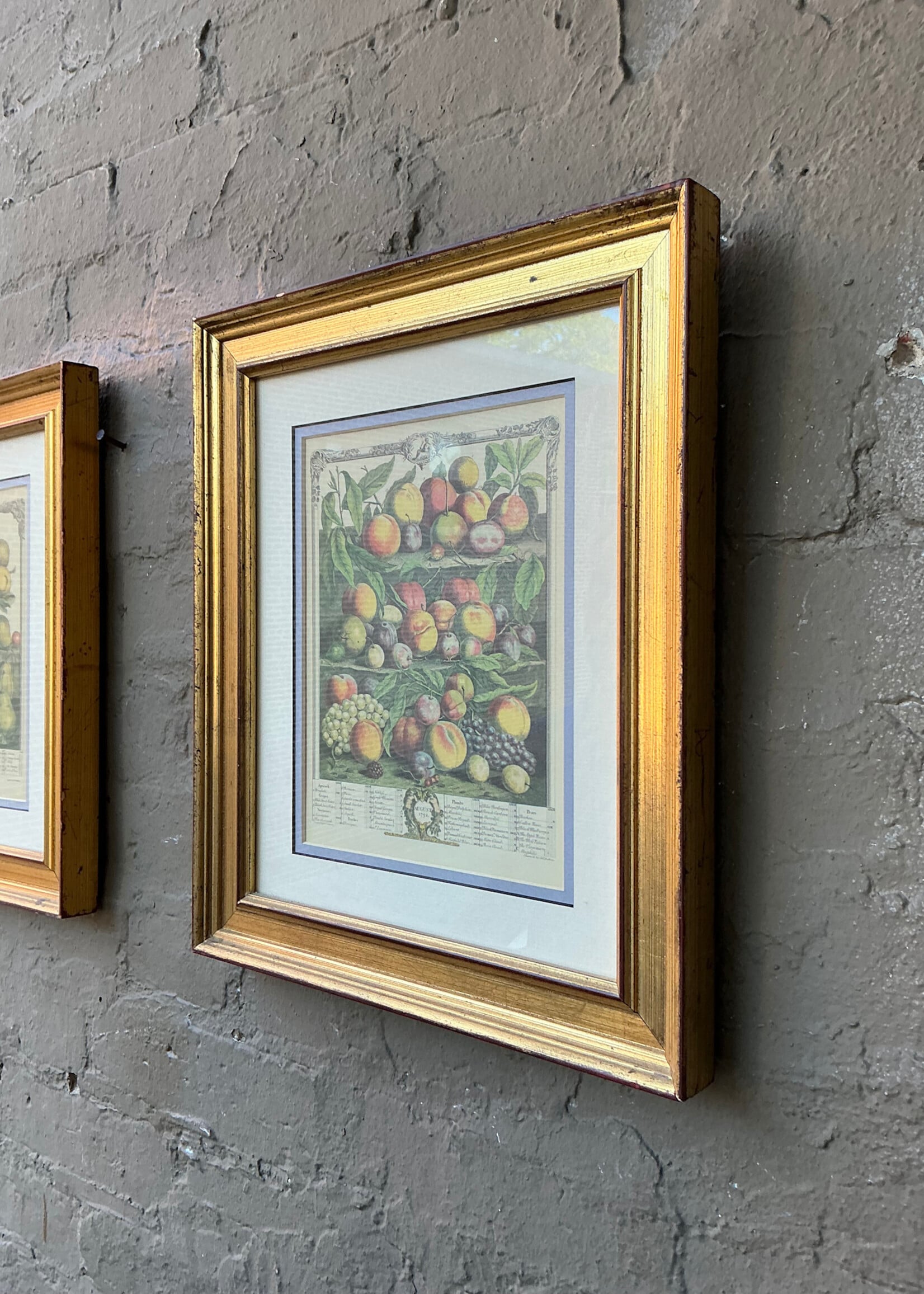 GOODWOOD Pair of Fruit Prints