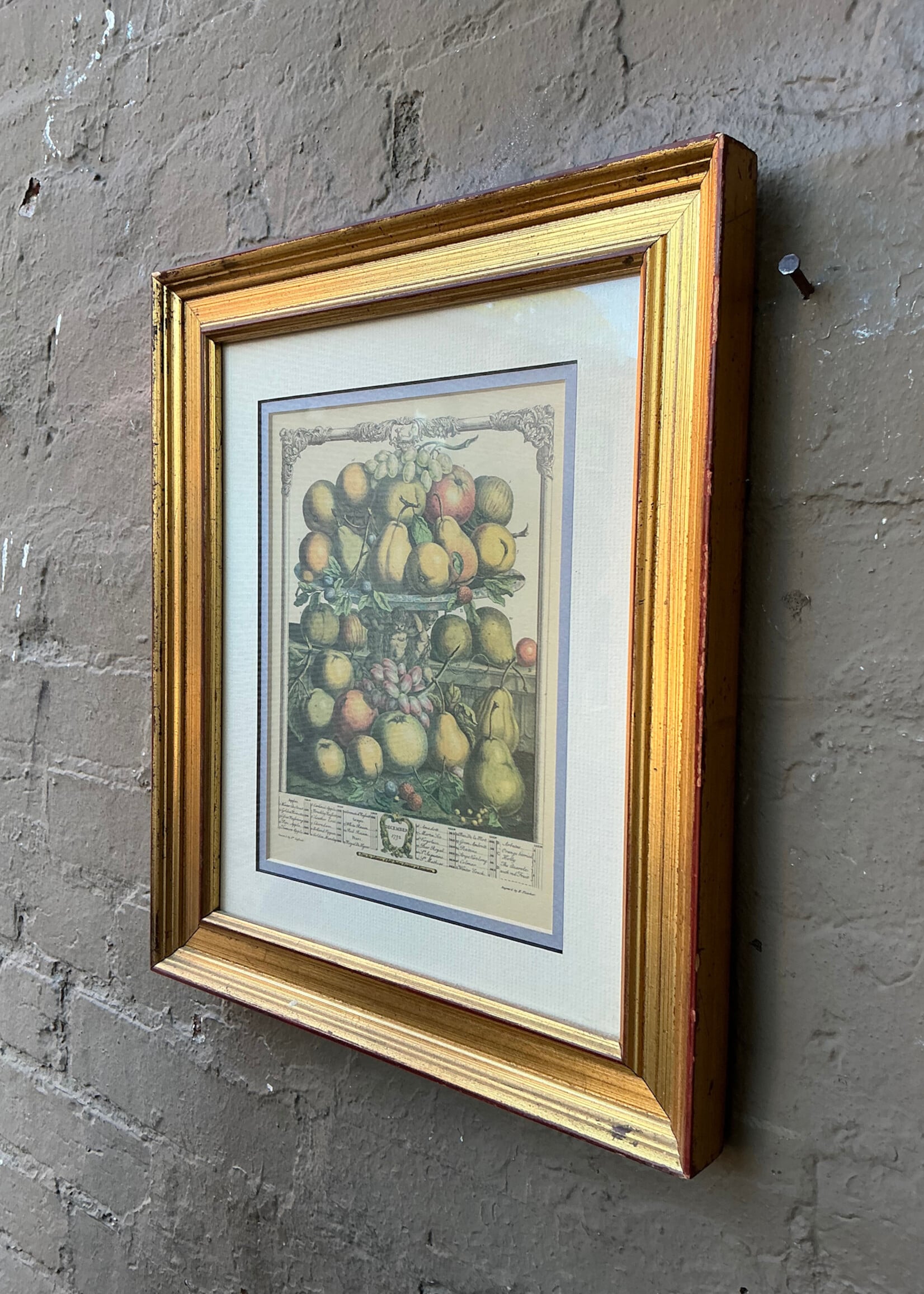 GOODWOOD Pair of Fruit Prints
