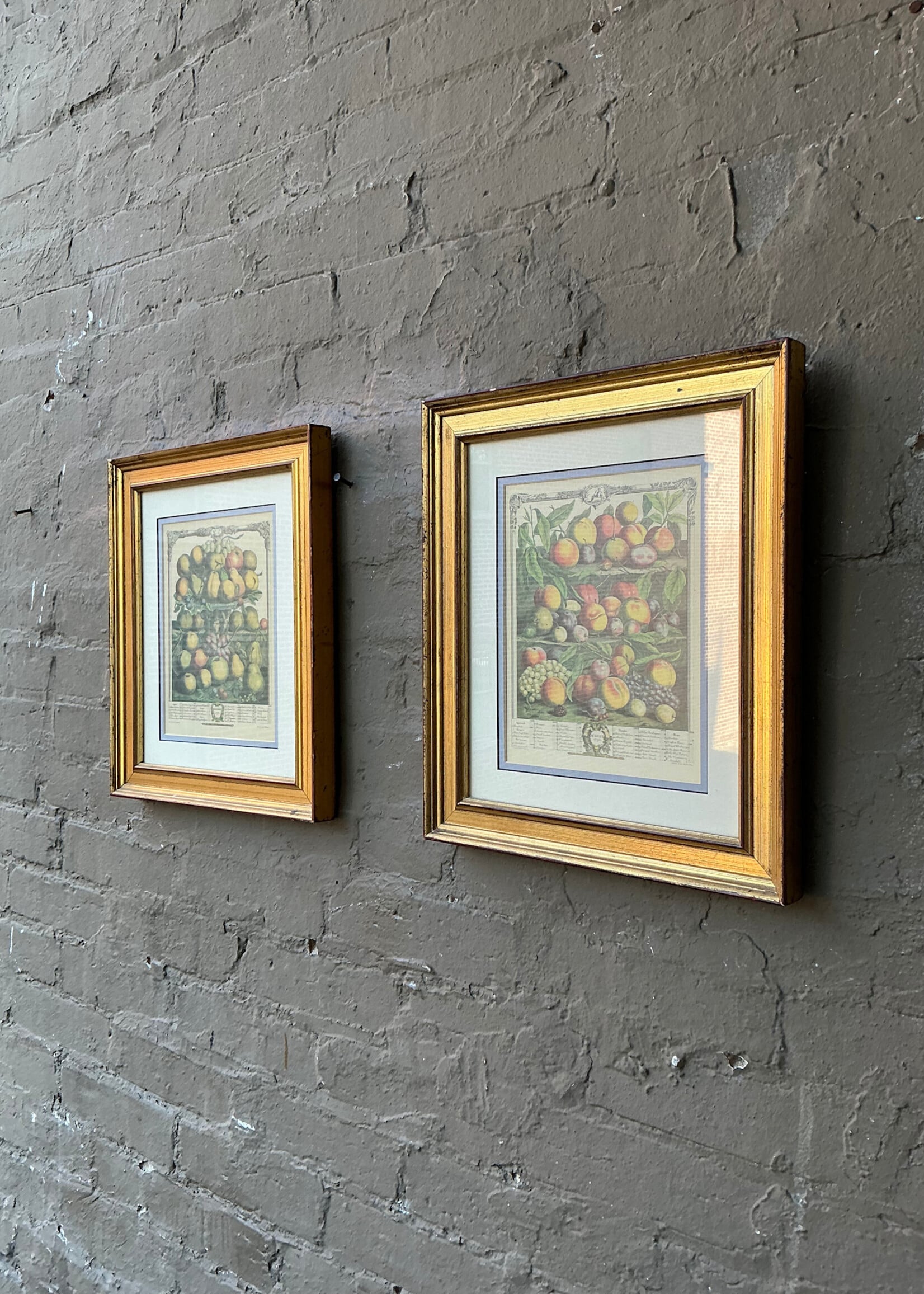 GOODWOOD Pair of Fruit Prints