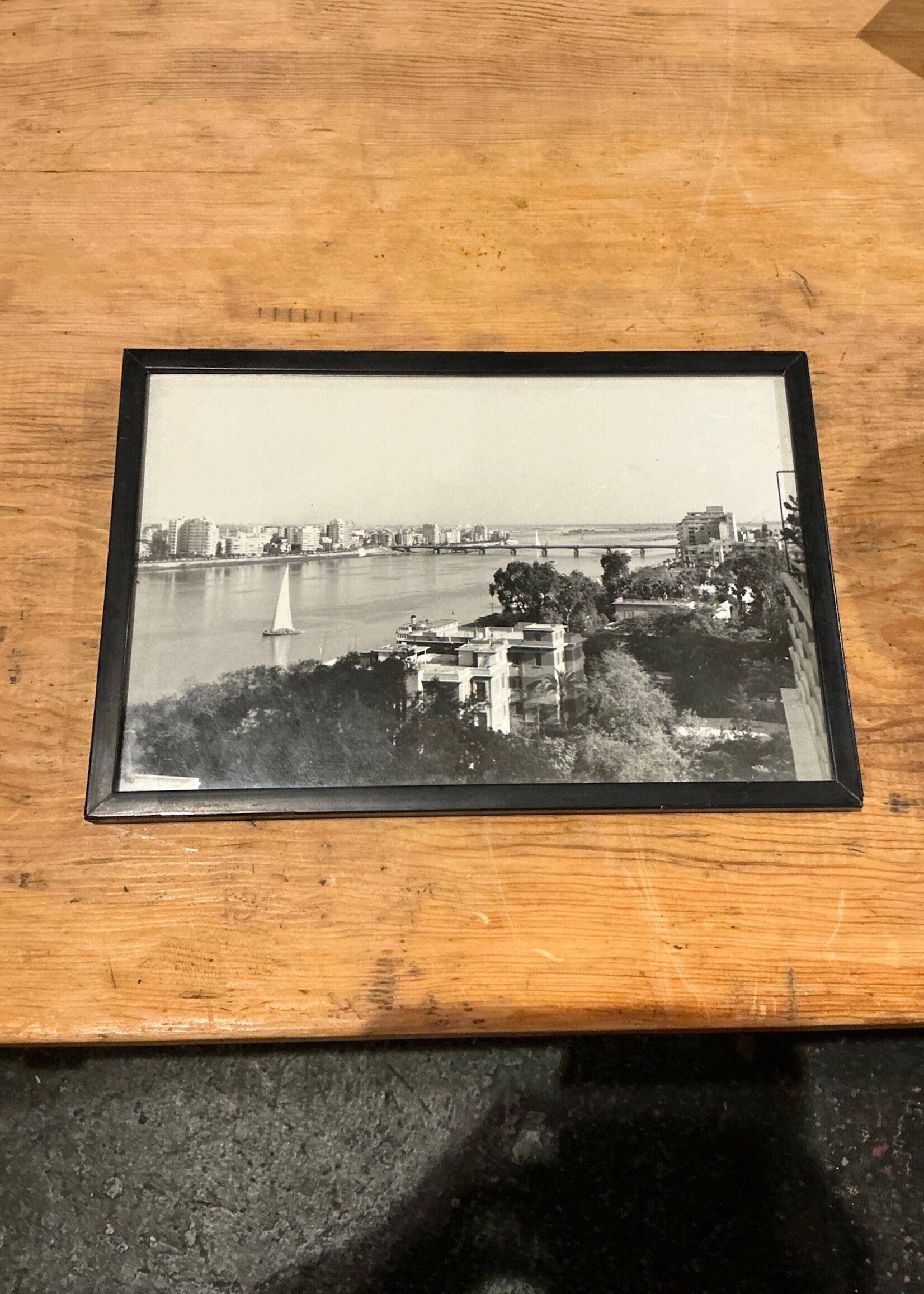 GOODWOOD Cairo, Photographic Print