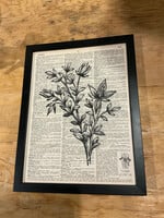 GOODWOOD Small Nature Print