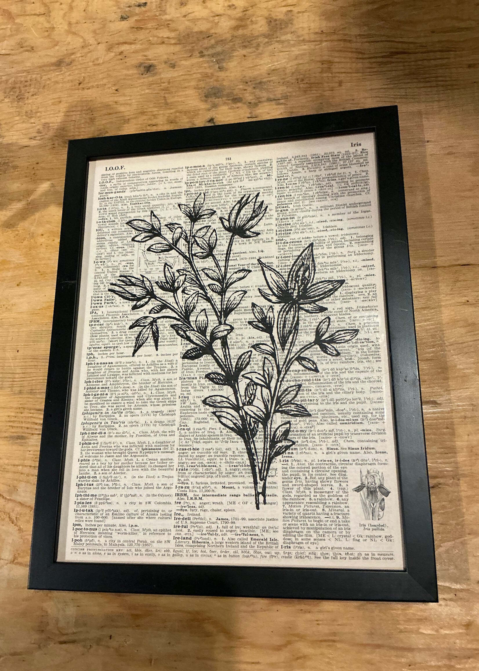 GOODWOOD Small Nature Print