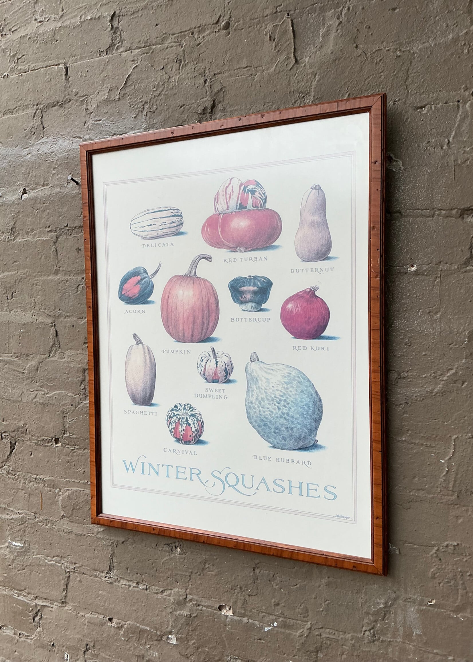 GOODWOOD Winter Squashes Framed Print