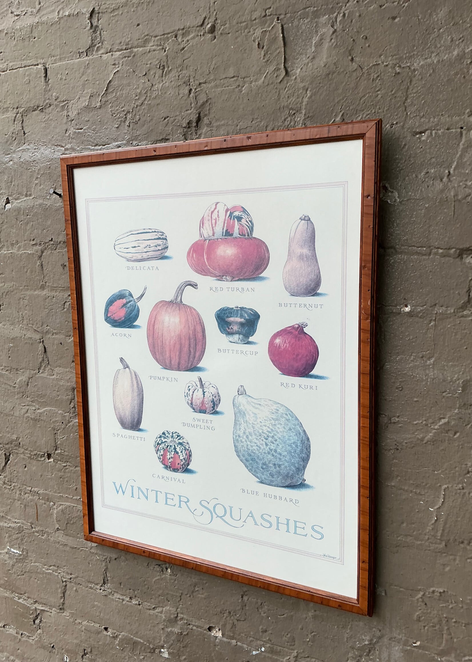 GOODWOOD Winter Squashes Framed Print