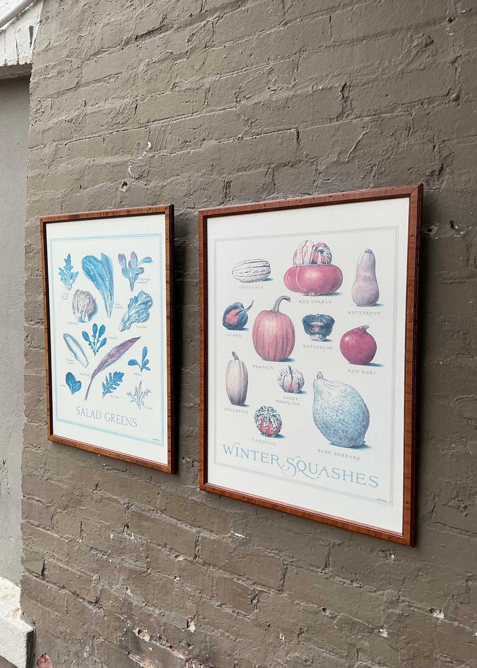 GOODWOOD Winter Squashes Framed Print