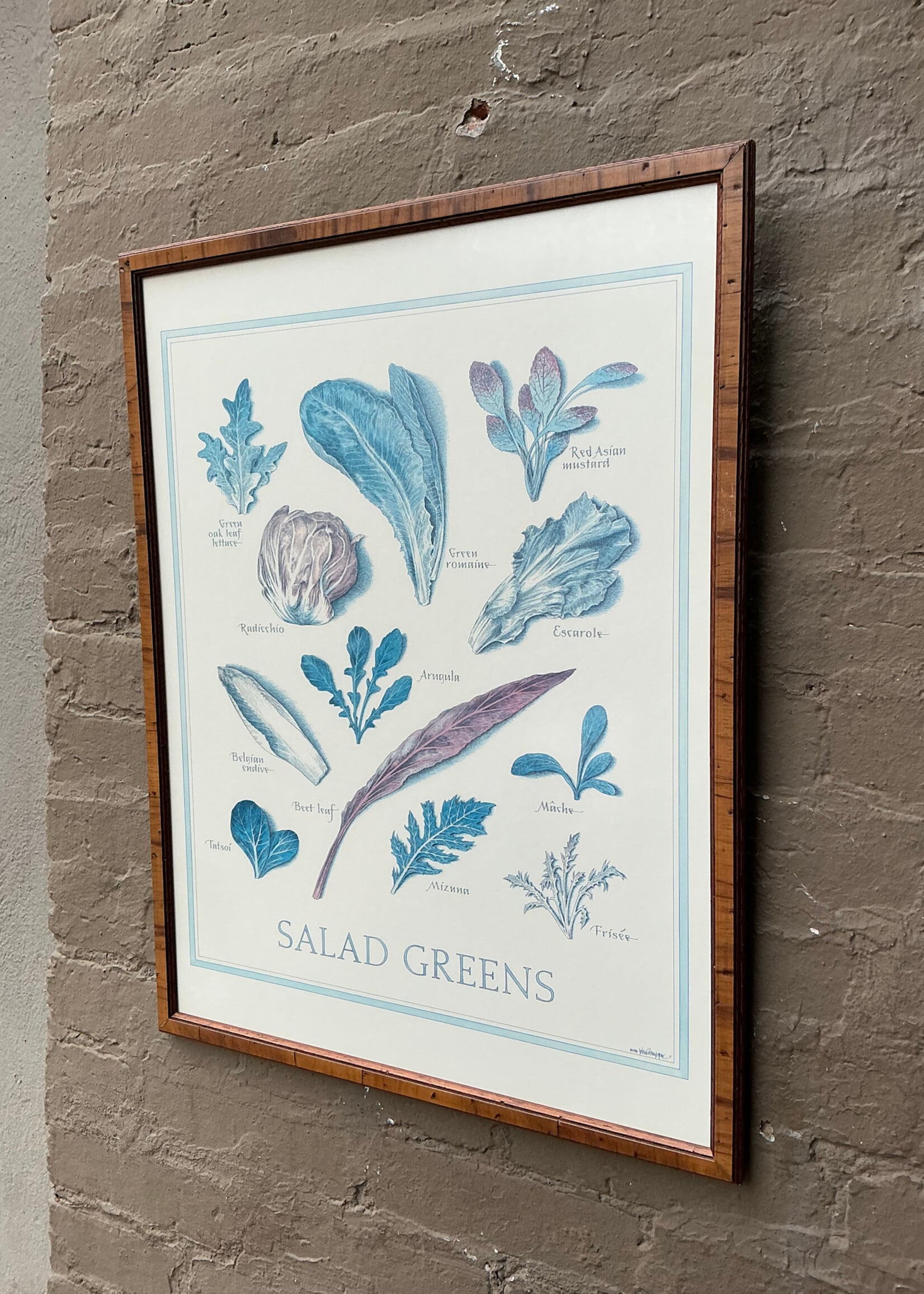 GOODWOOD Salad Greens Print