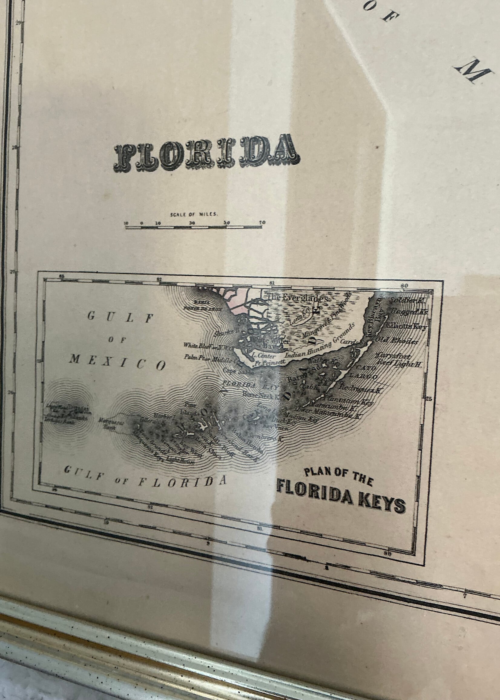 GOODWOOD Map of Florida