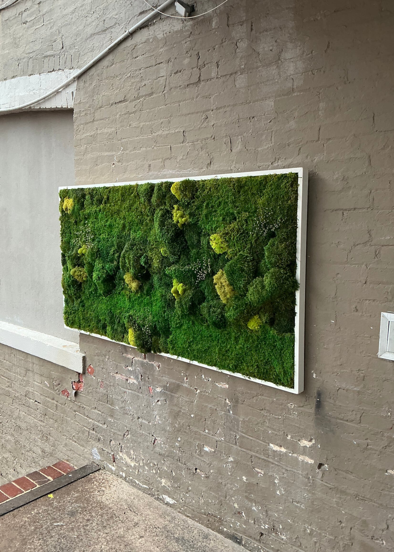 GOODWOOD Moss Art
