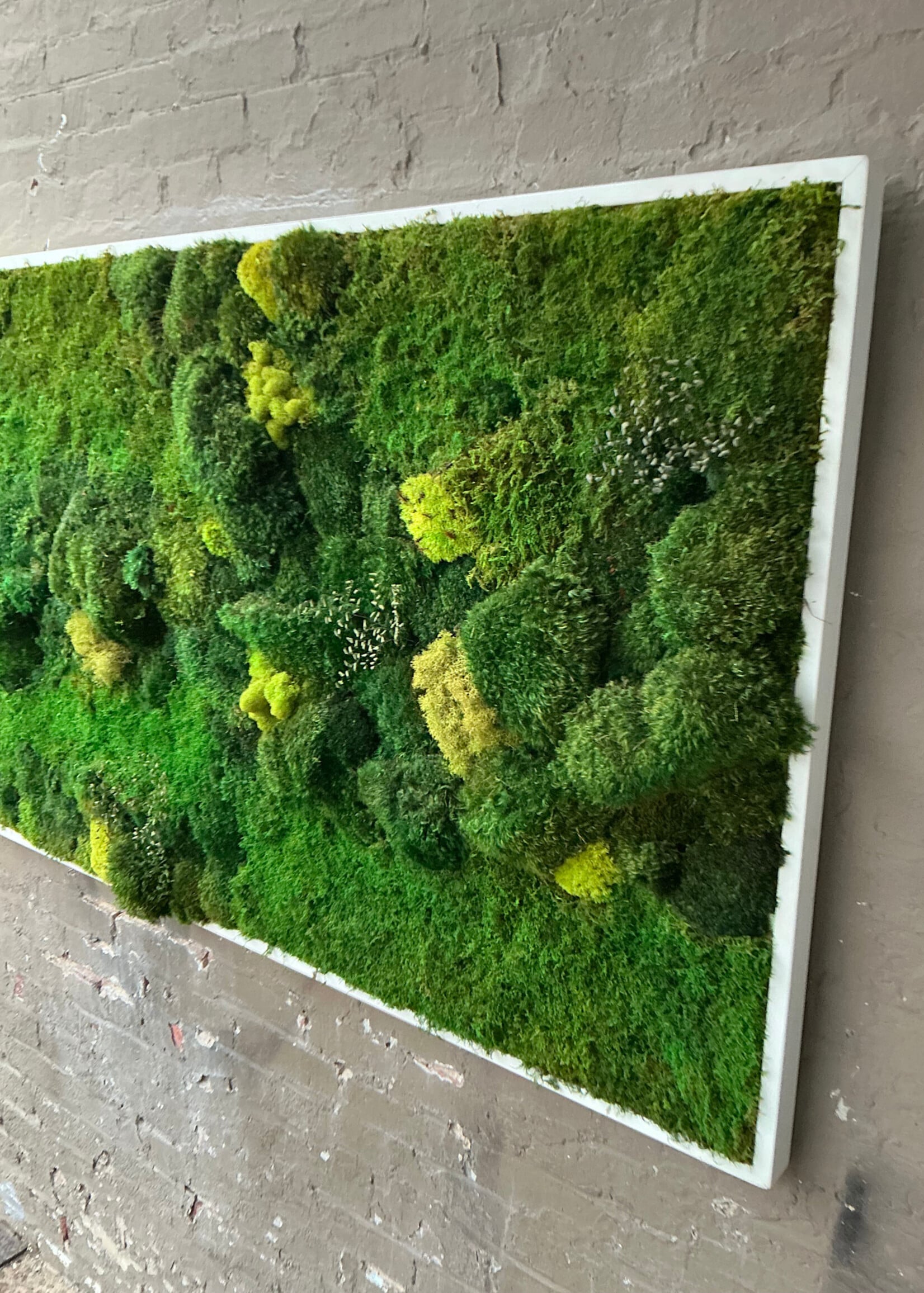 GOODWOOD Moss Art