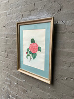 GOODWOOD Botanical Watercolor